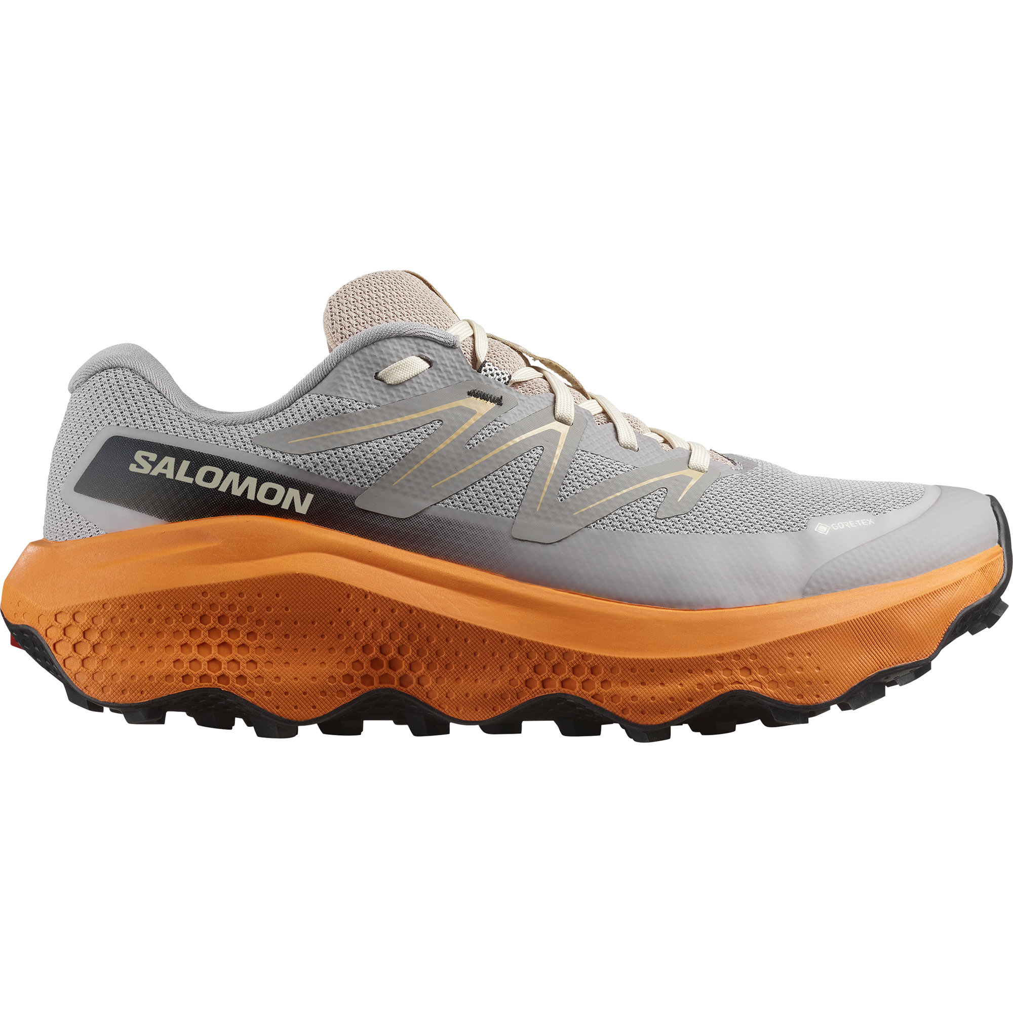 Salomon Laufschuh "ULTRA FLOW 2 GORE-TEX", wasserdicht günstig online kaufen