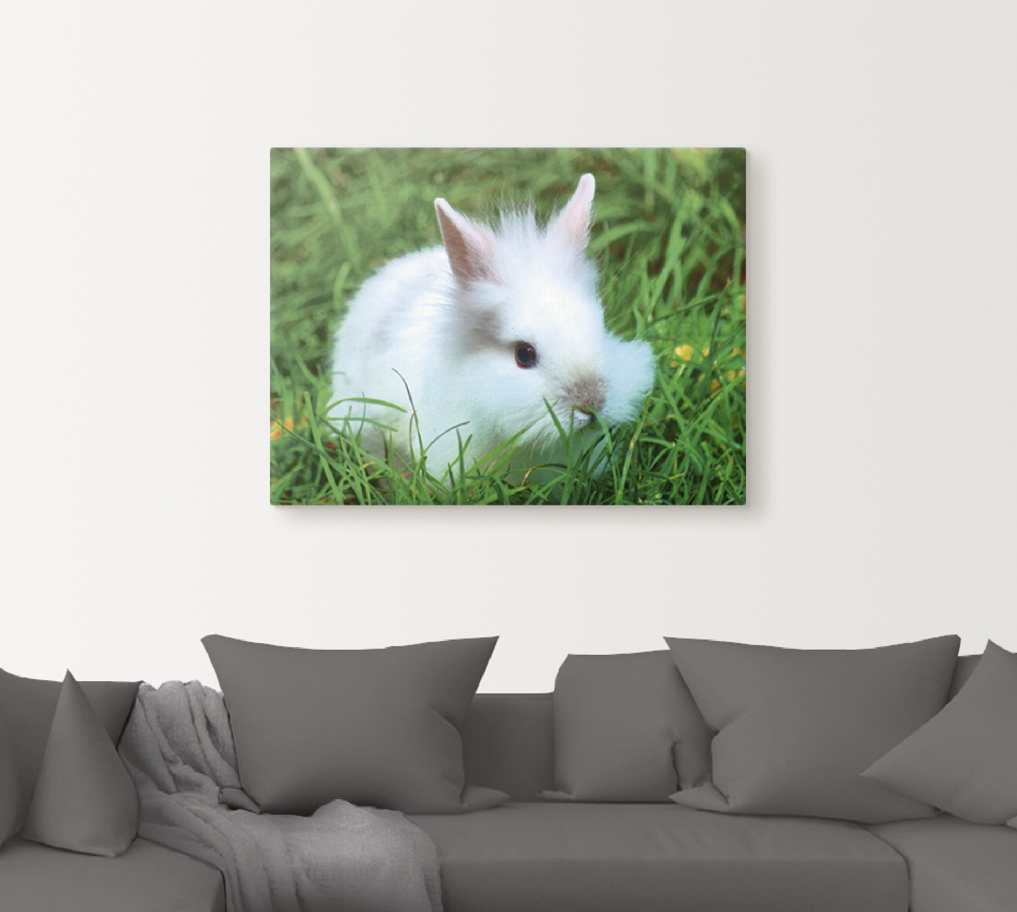 Artland Wandbild »Weißes Zwergkaninchen Baby«, Wildtiere, (1 St.), als Poster, Wandaufkleber in verschied. Größen