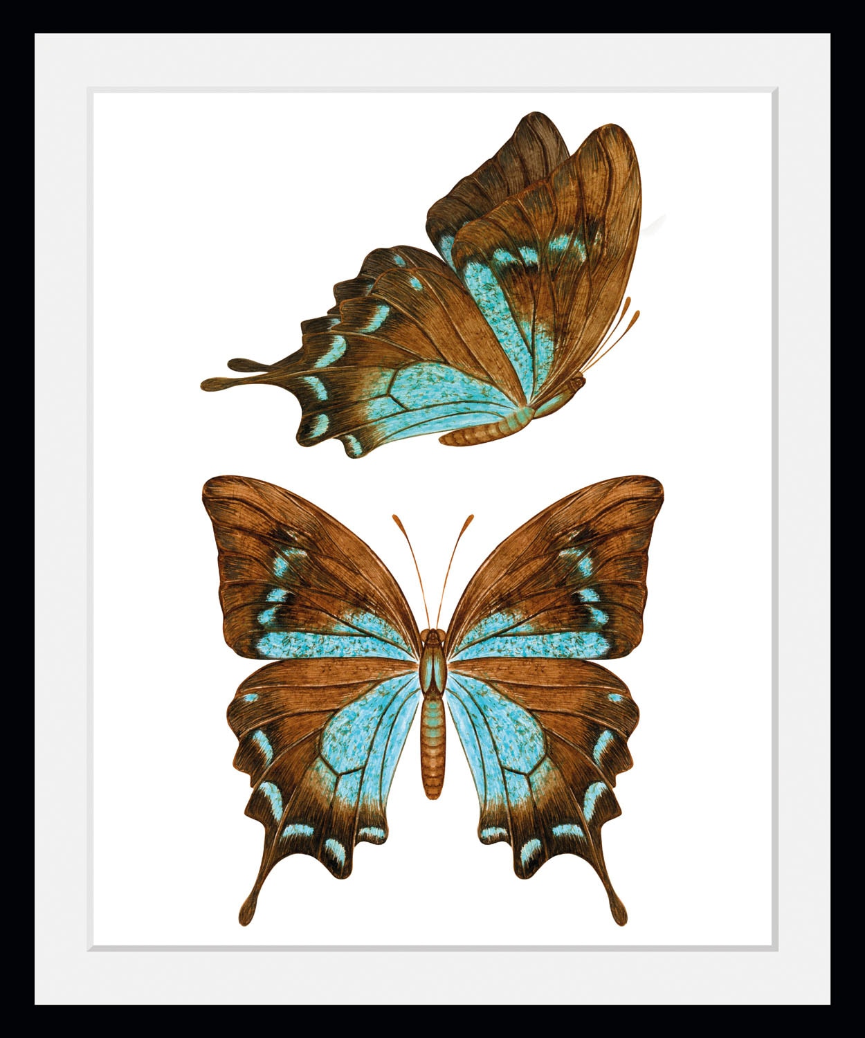 queence Bild »Nala«, Schmetterlinge-Kunst-Insekten, (1 St.), HD Premium Poster-Druck inkl. Holzrahmen
