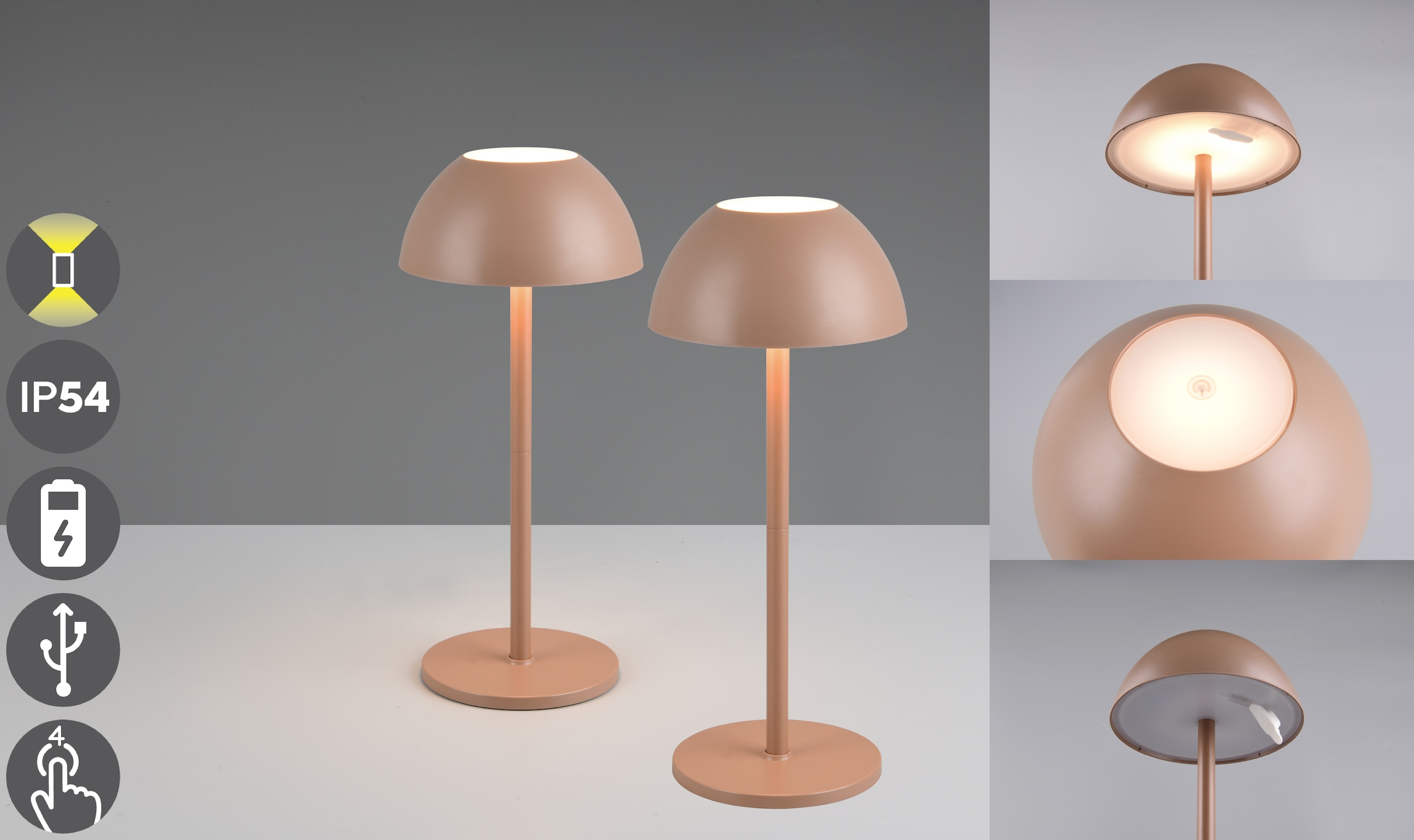 REALITY Leuchten LED Außen-Tischleuchte "RICARDO Tischleuchte 2er-Set" LED- günstig online kaufen