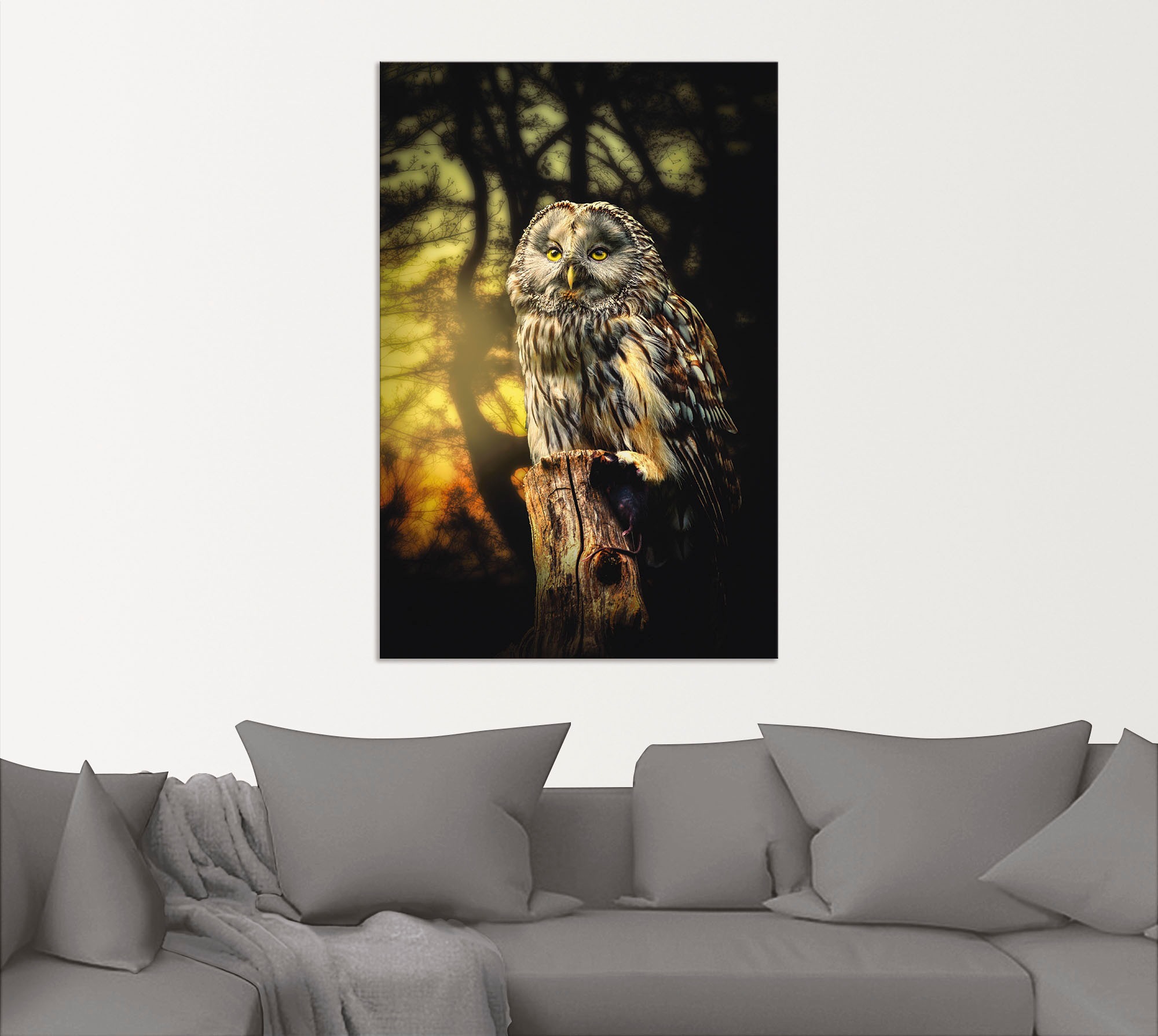 Artland Wandbild "Eule", Vögel, (1 St.), als Alubild, Outdoorbild, Leinwand günstig online kaufen