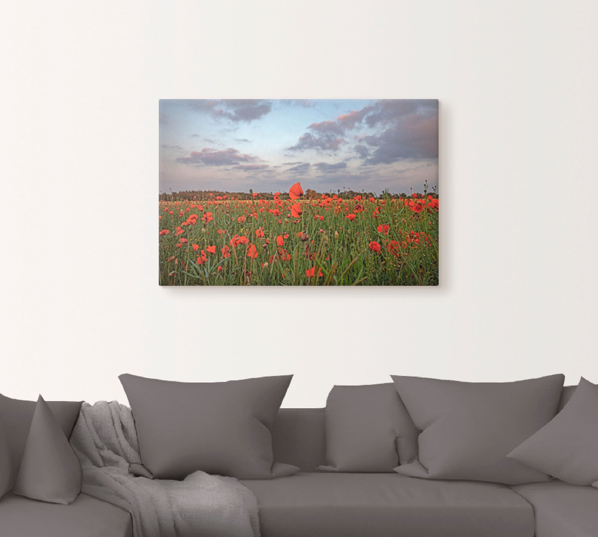 Artland Wandbild "Mohnblumenfeld", Blumenwiese, (1 St.), als Leinwandbild i günstig online kaufen