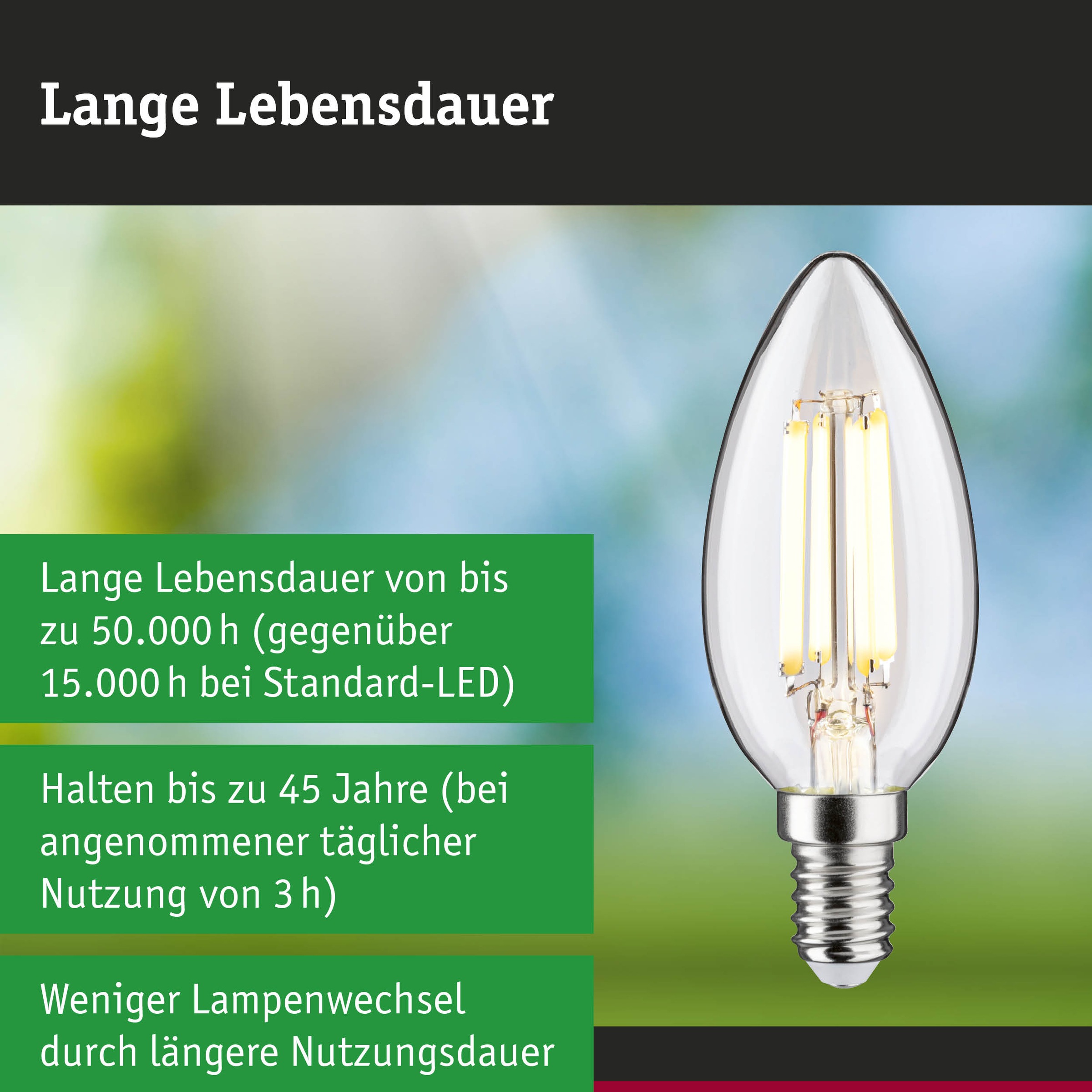 Paulmann LED-Leuchtmittel »Efficient-Line Filament 230V LED Kerze E14 1 St. 525lm 2,5W 3000K Klar« E14 1 Stk. Warmweiß