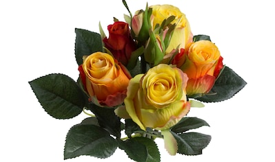 Botanic-Haus Kunstblume »Rosenstrauß mit 5 Rosen und 3 Knospen«, (1 St.) kaufen