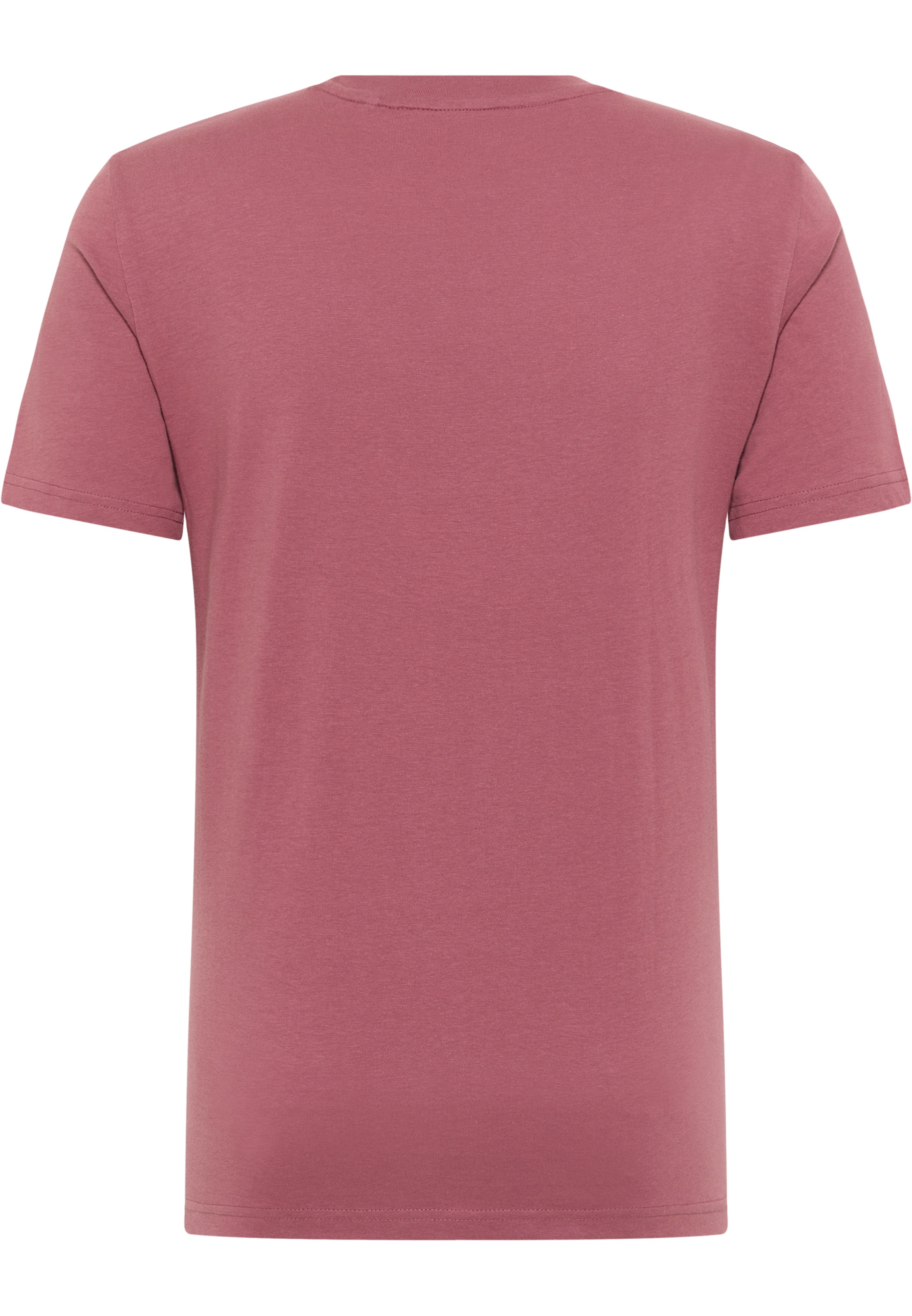 MUSTANG T-Shirt »Style Alex C Print« SV6727