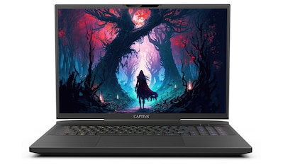 Gaming-Notebook »Ultimate Gaming I81-601«, Intel, Core i9, 2000 GB SSD