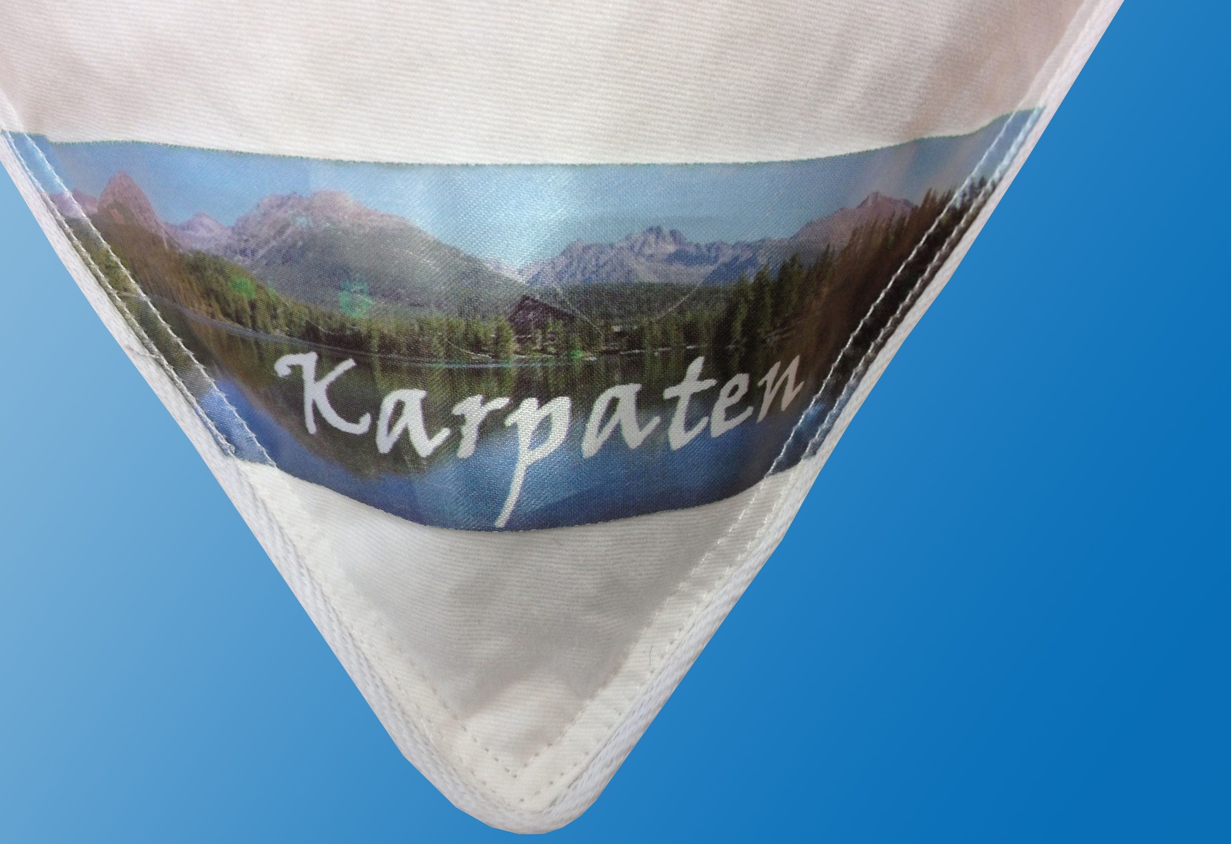 Dreams Federkopfkissen "Karpaten" Füllung: 70% oder 85% Federn 1 Stk. tlg.