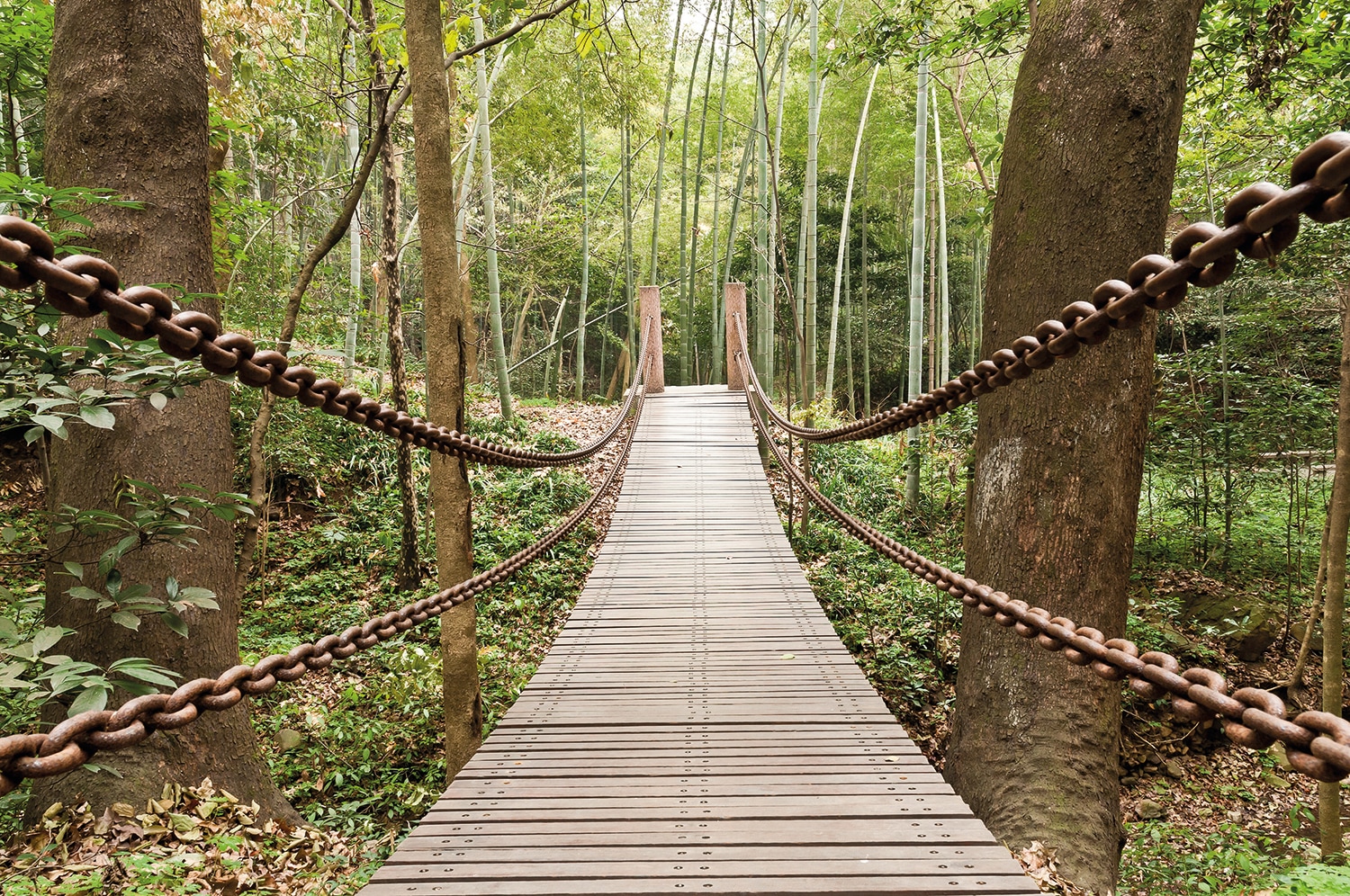 Papermoon Fototapete "Suspension Bridge" glatt