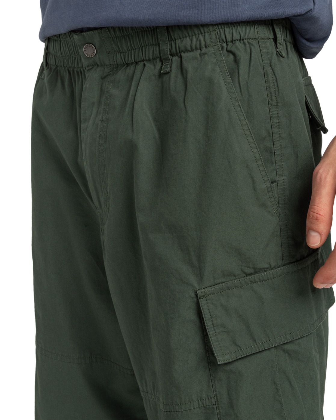 Element Cargohose »Howland«