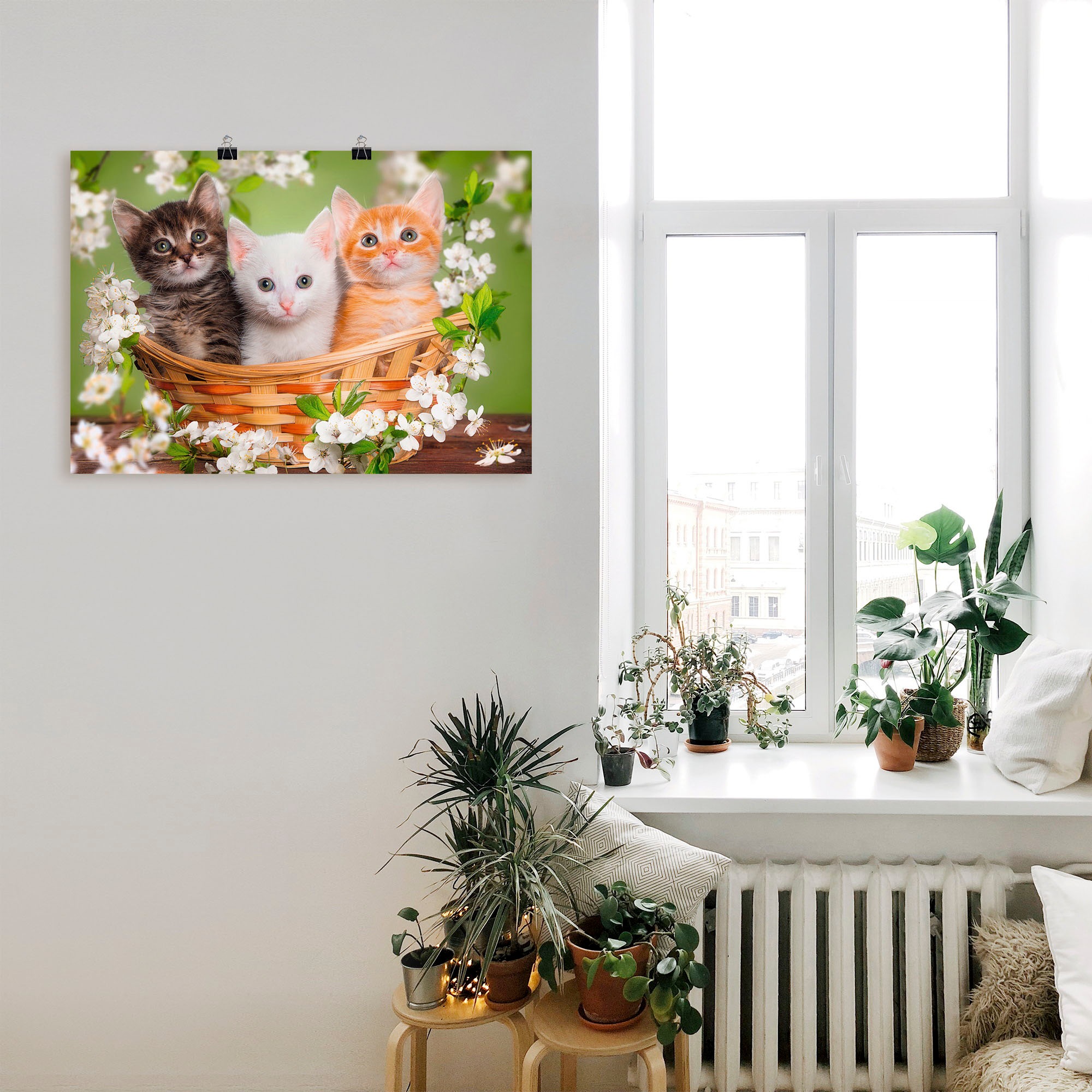 Artland Wandbild "Katzen sitzen in einem Korb" Haustiere 1 Stk. tlg. als Le günstig online kaufen
