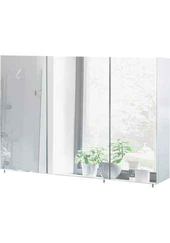 Schildmeyer Spiegelschrank »Basic«, Breite 120 cm, 3-türig, Glaseinlegeböden, Made in... kaufen