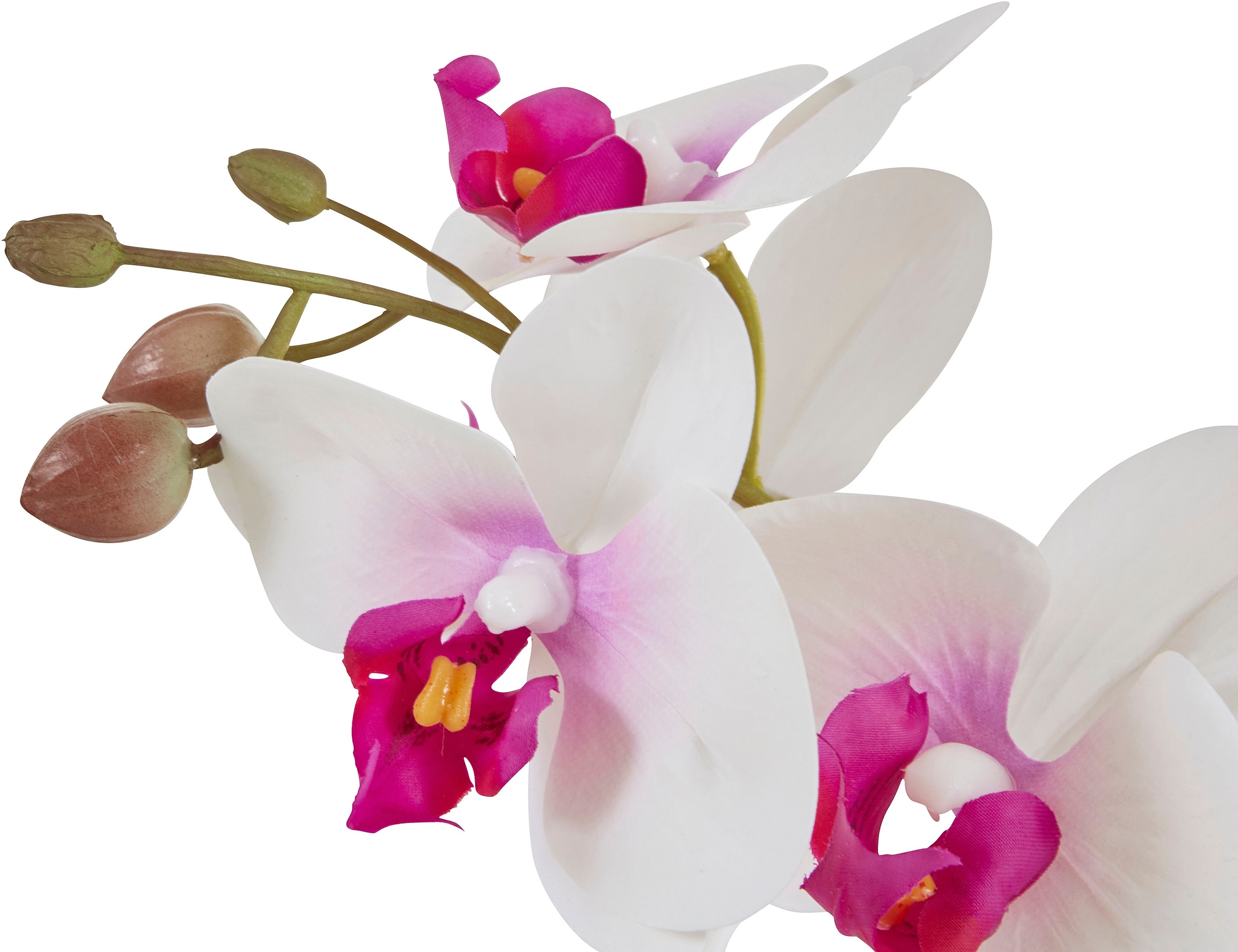 Home affaire Kunstpflanze "Orchidee", Kunstorchidee, im Topf günstig online kaufen