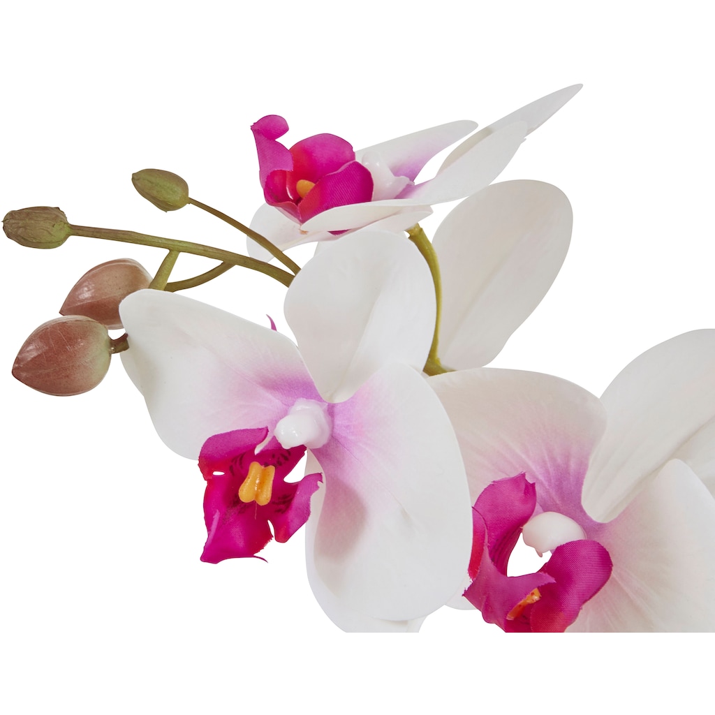 Home affaire Kunstpflanze »Orchidee«