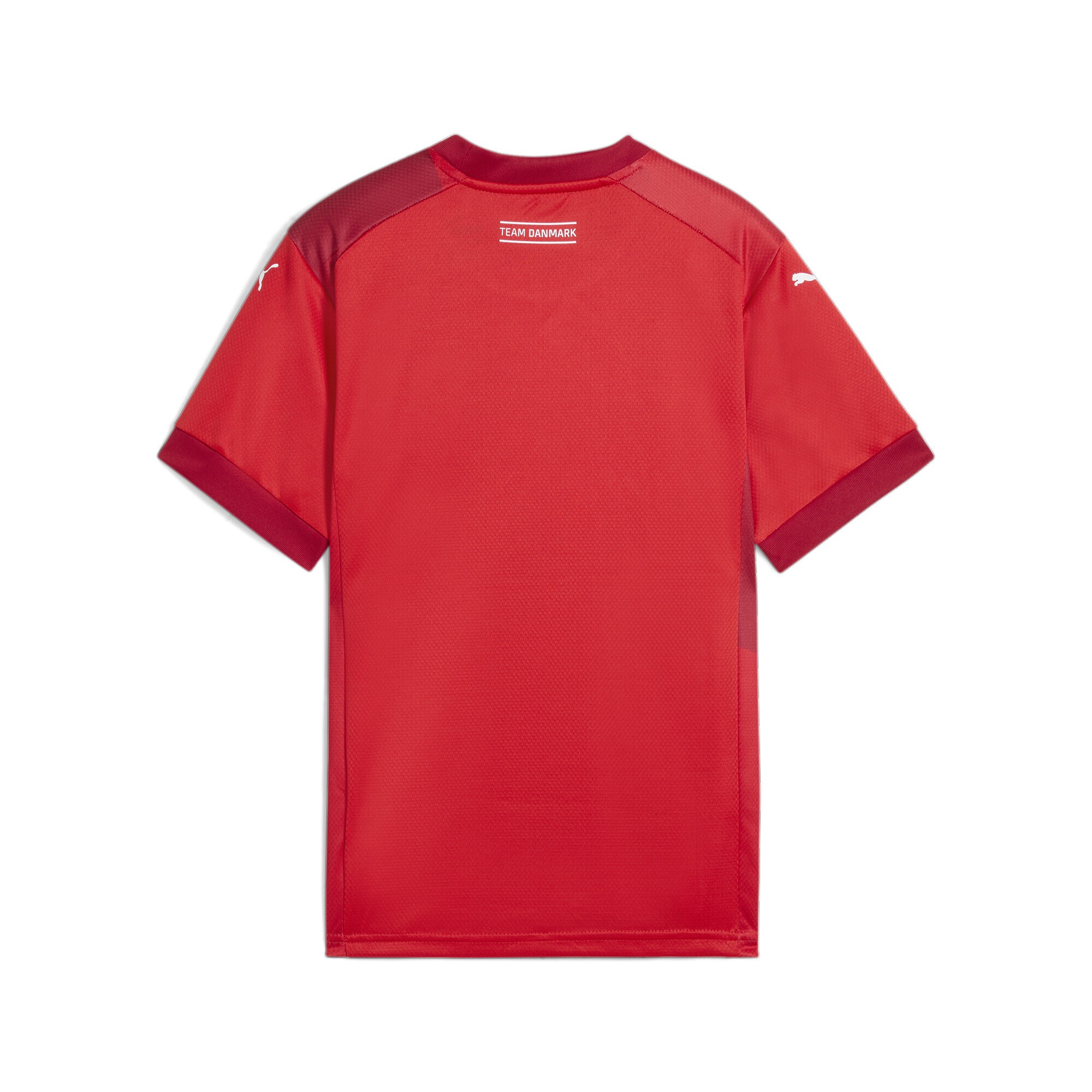 PUMA Trainingsshirt »Dänischer Handballbund 24/25 Heimtrikot Kinder«