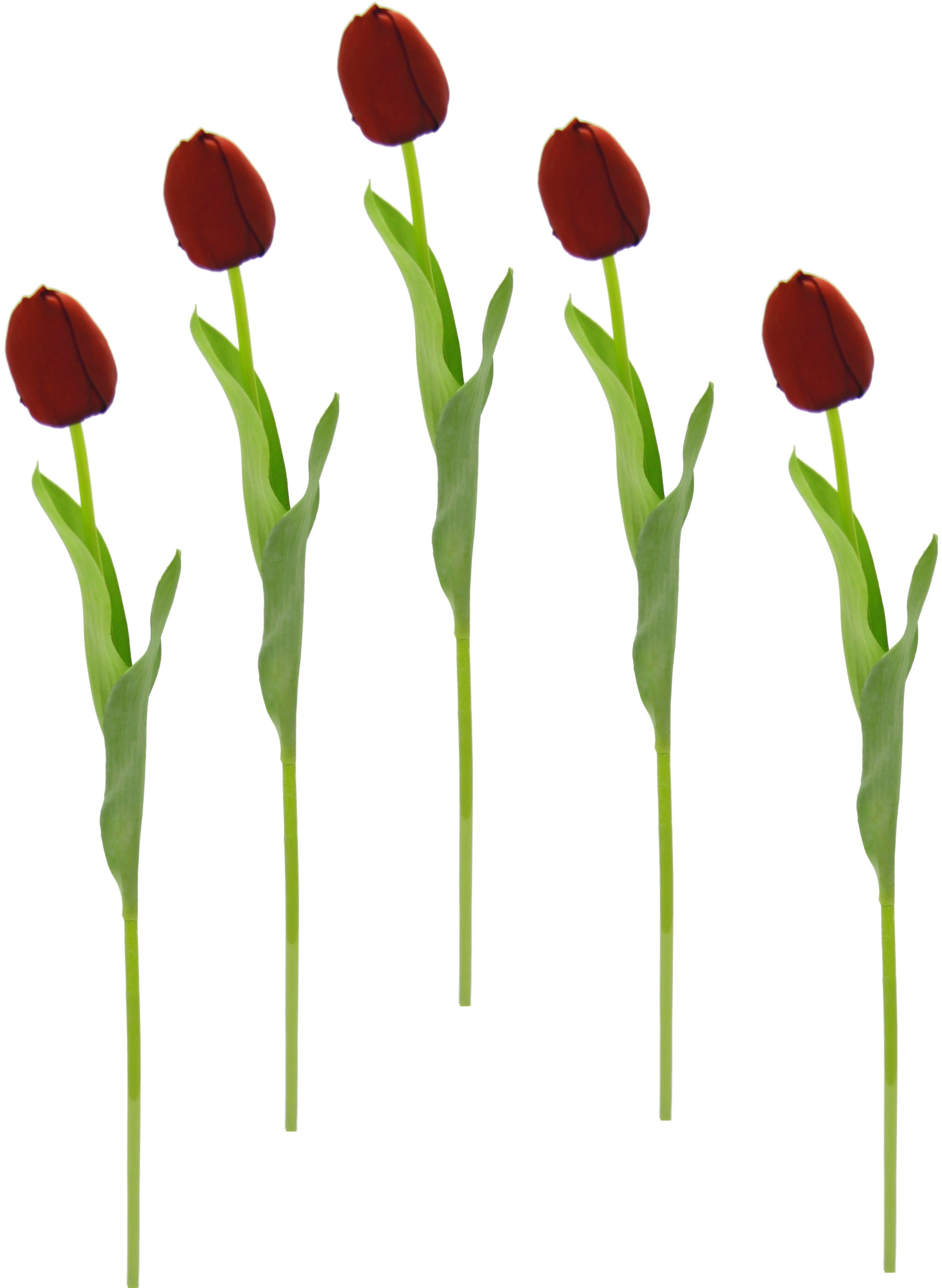 I.GE.A. Kunstblume »Real Touch Tulpen«, (5 St.), 5er Set künstliche Tulpenknospen, Kunstblumen, Stielblume