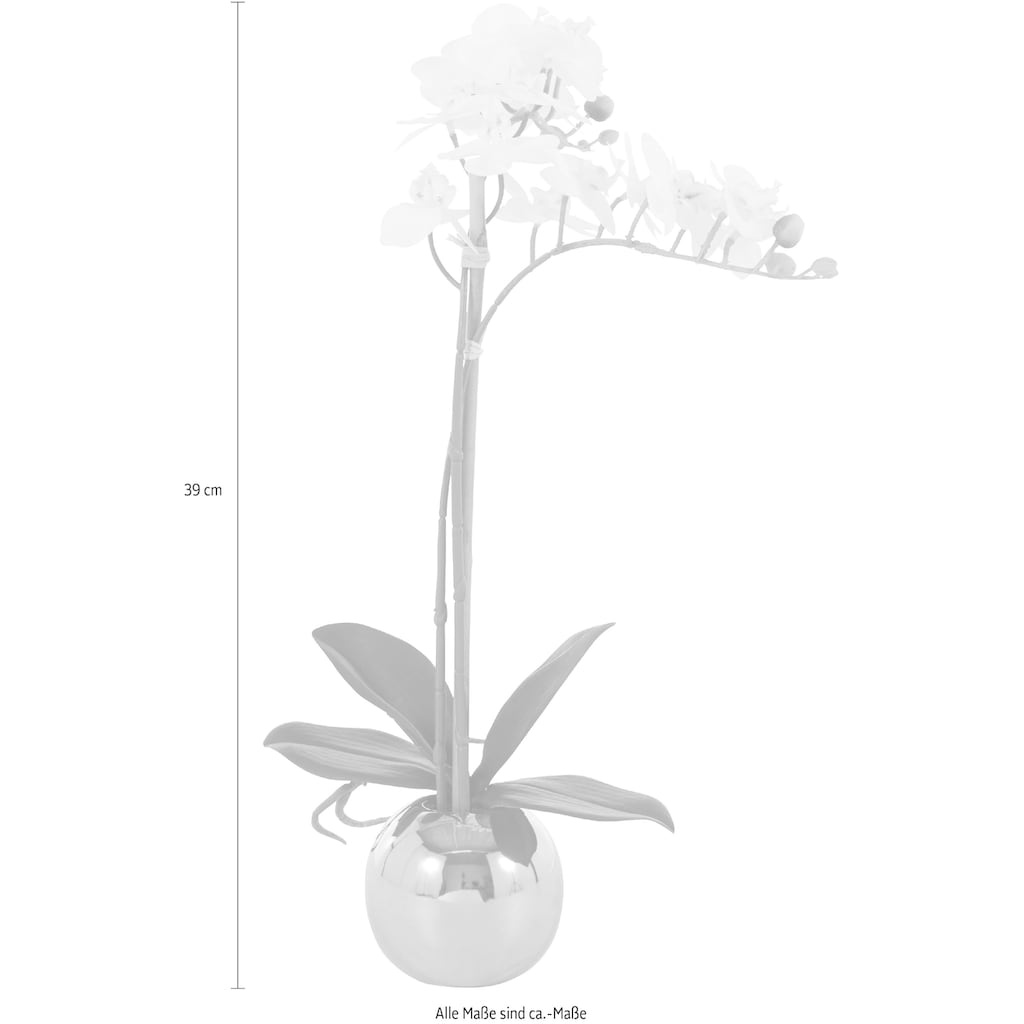 Guido Maria Kretschmer Home&Living Kunstorchidee »Voguish«