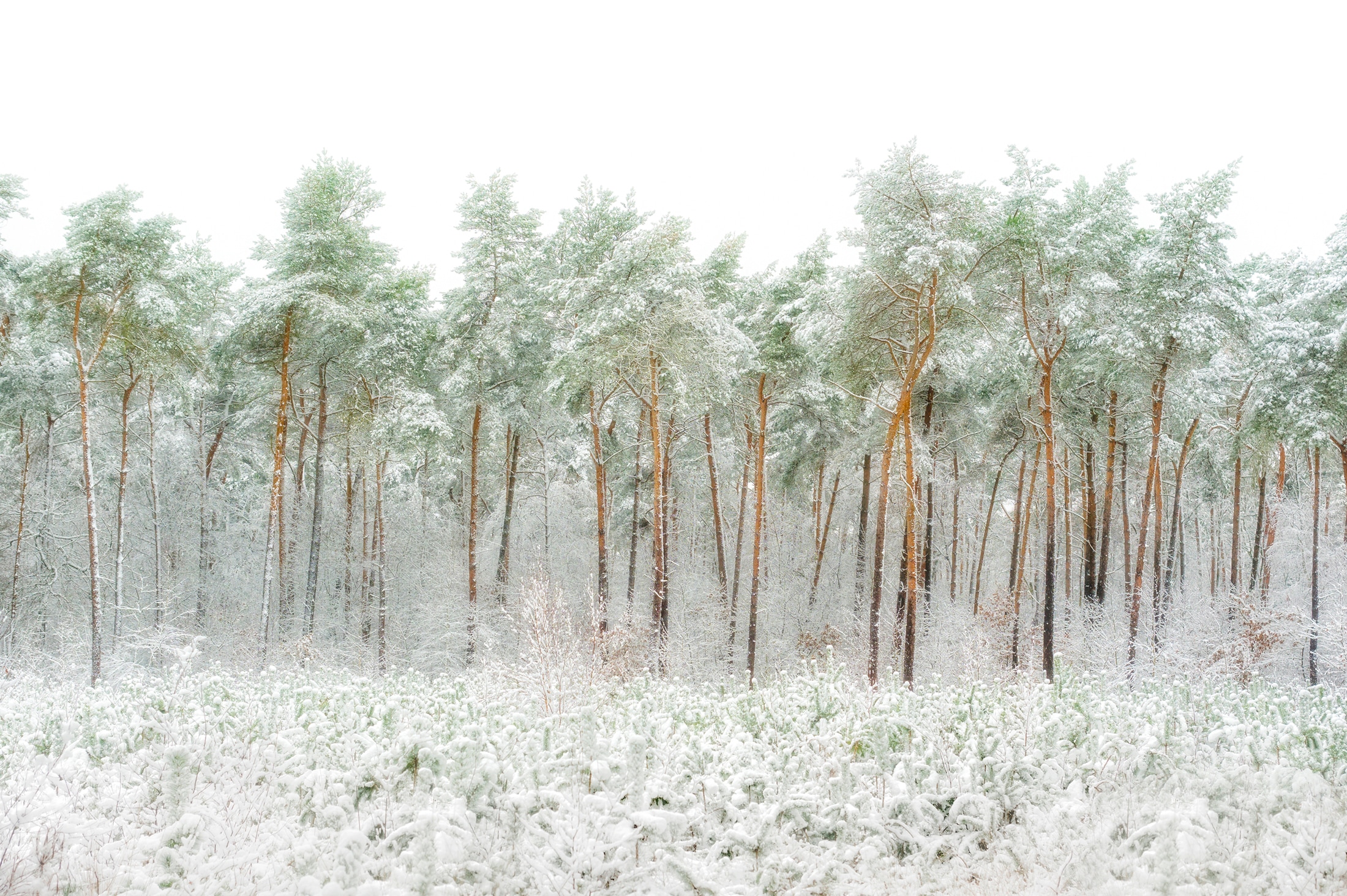 Papermoon Fototapete "Photo-Art GREETJE VAN SON, SCHNEEWELT"
