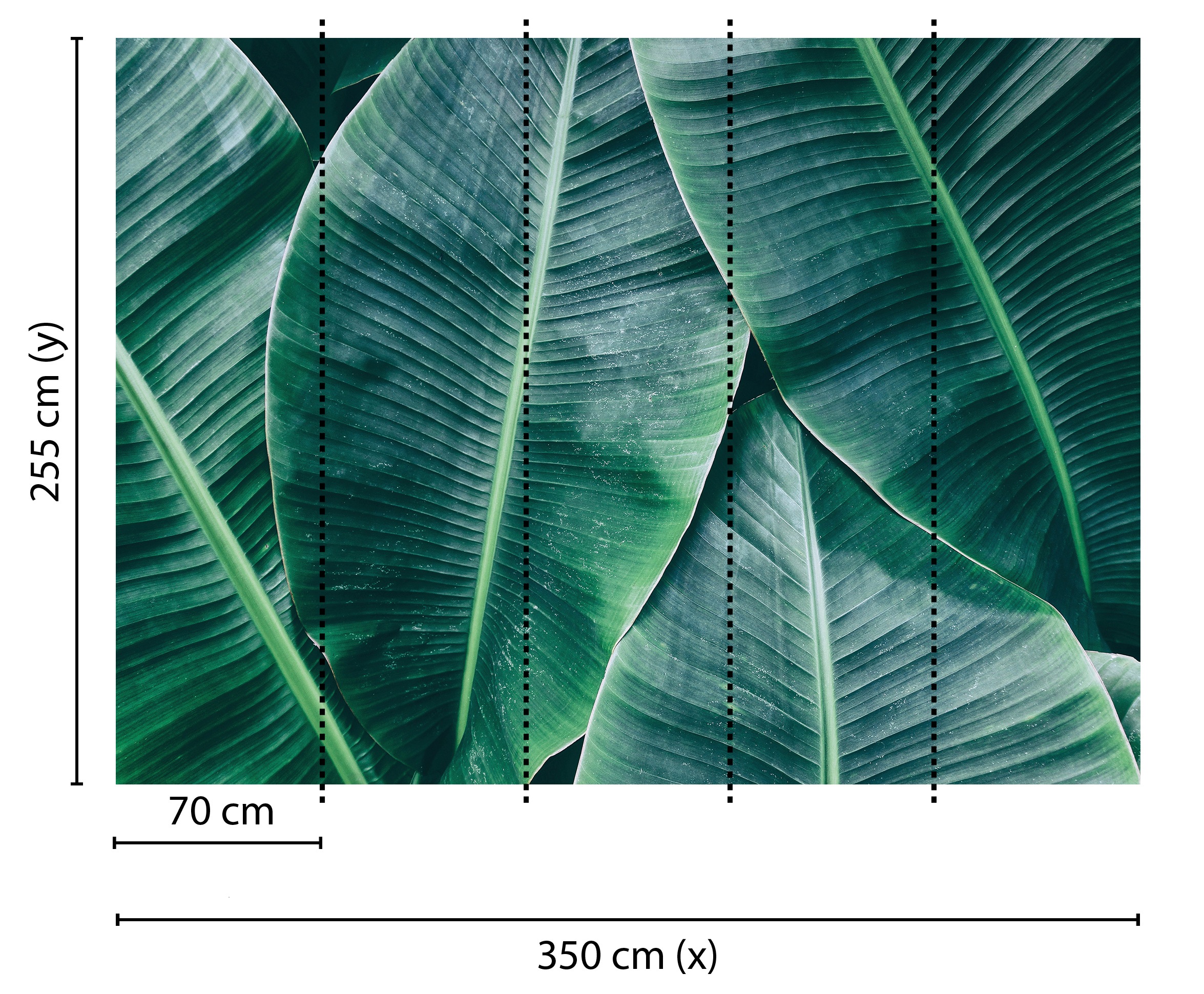 living walls Fototapete »Designwalls Banana Leaves 1«, Vlies, Wand, Schräge, Decke