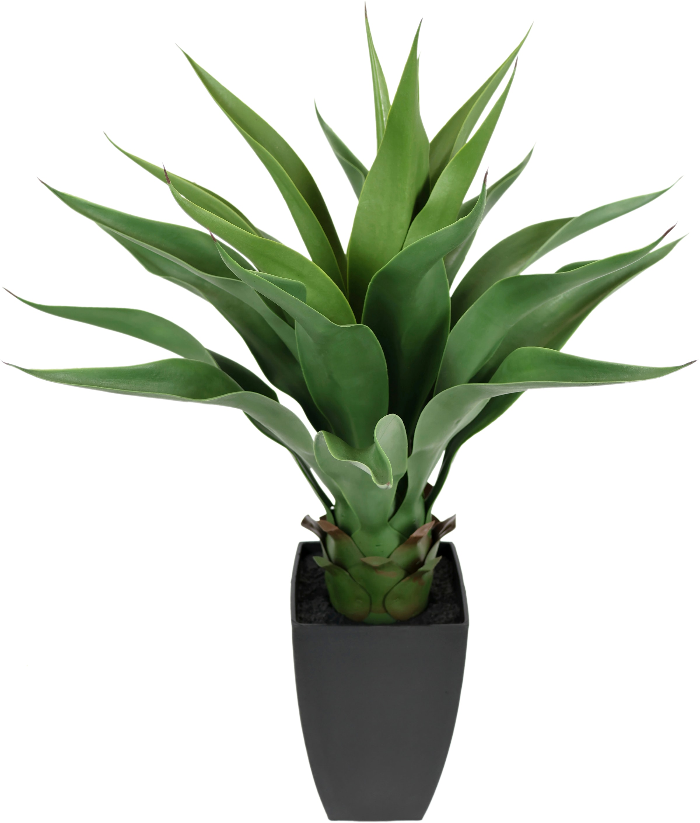I.GE.A. Kunstpflanze »Künstliche Agave im Grünpflanze Topf Aloe Sansevieria«, Palme Zimmerpflanze Vera BAUR Pflanze | kaufen online