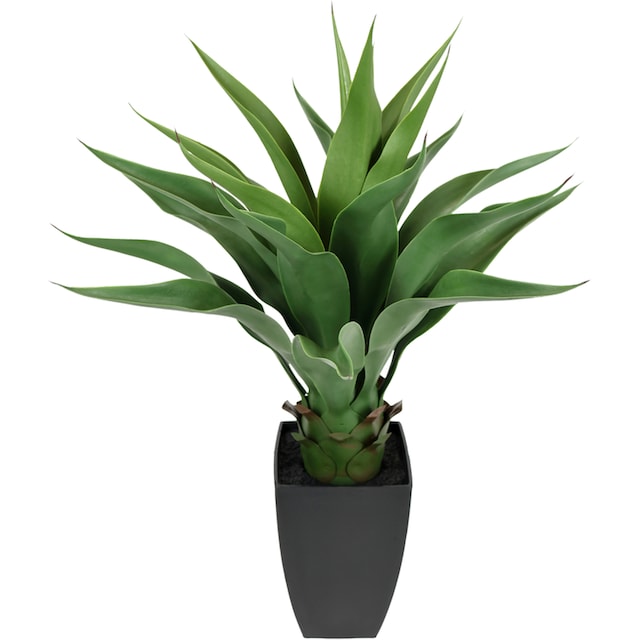 »Künstliche Zimmerpflanze I.GE.A. Aloe Vera im Topf online kaufen BAUR Sansevieria«, | Pflanze Kunstpflanze Palme Grünpflanze Agave