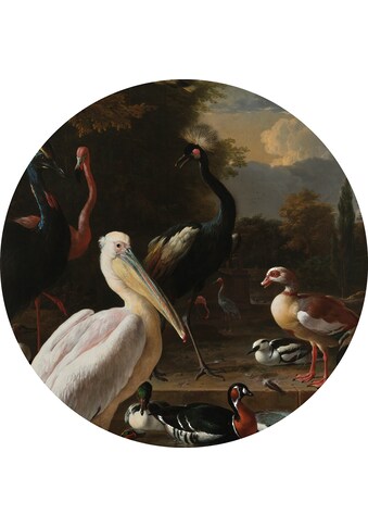 Art for the home Wandtattoo »Rijksmuseum Vogel« (1 St.)...