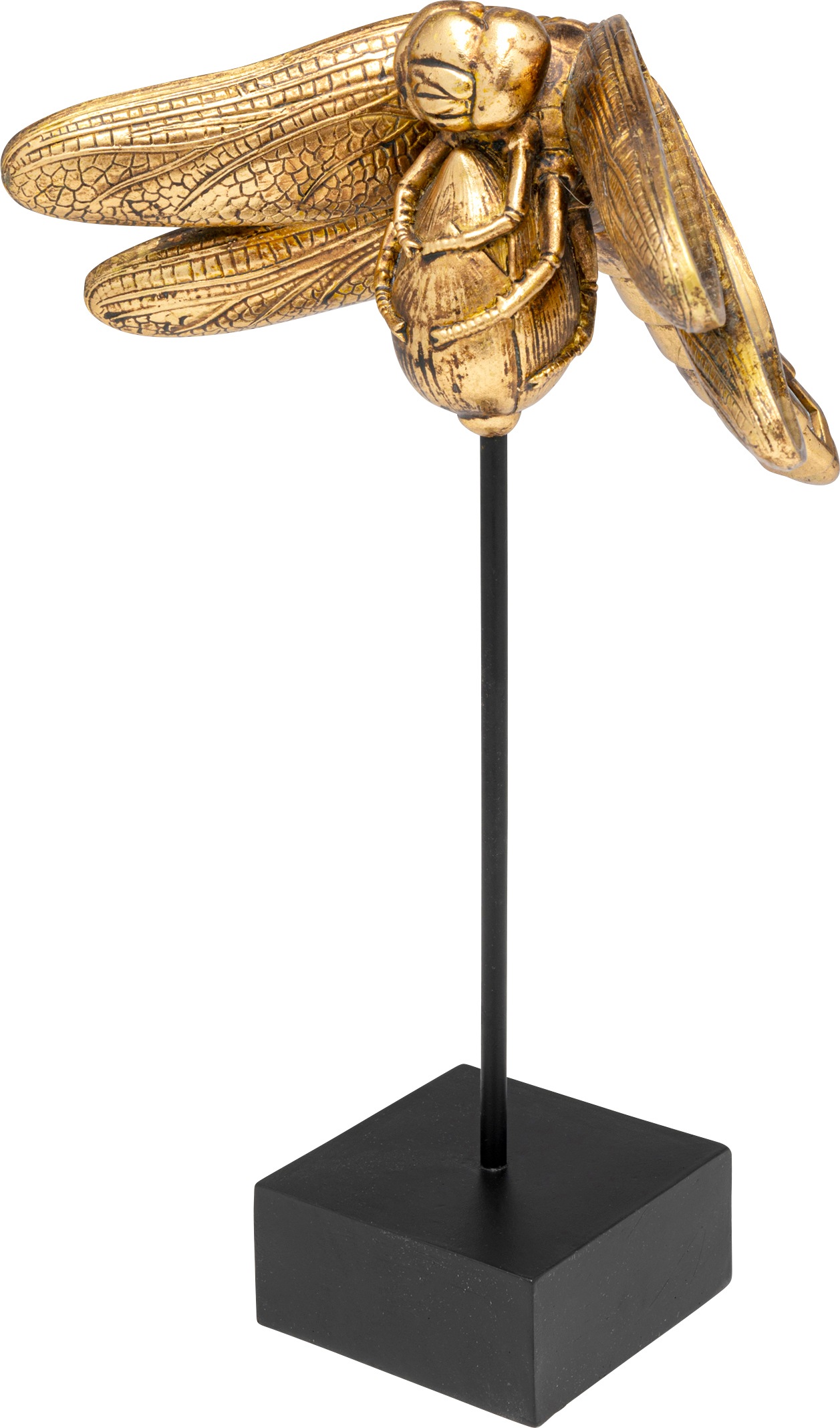 Kare Design Dekoobjekt »Dragonfly Mirror 41cm«