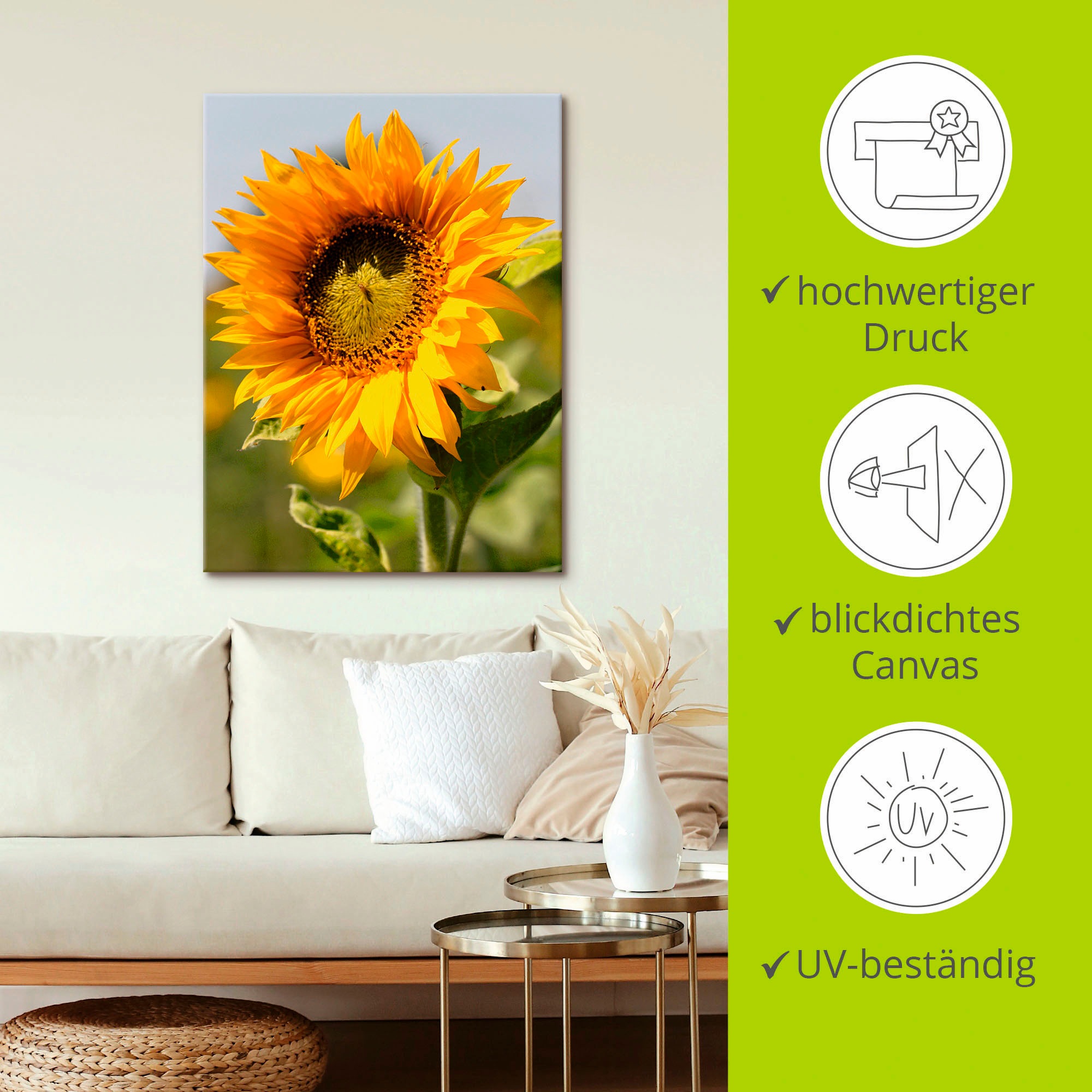 Artland Wandbild »Sonnenblume«, Blumen, (1 St.), als Leinwandbild, Poster, Wandaufkleber in verschied. Größen