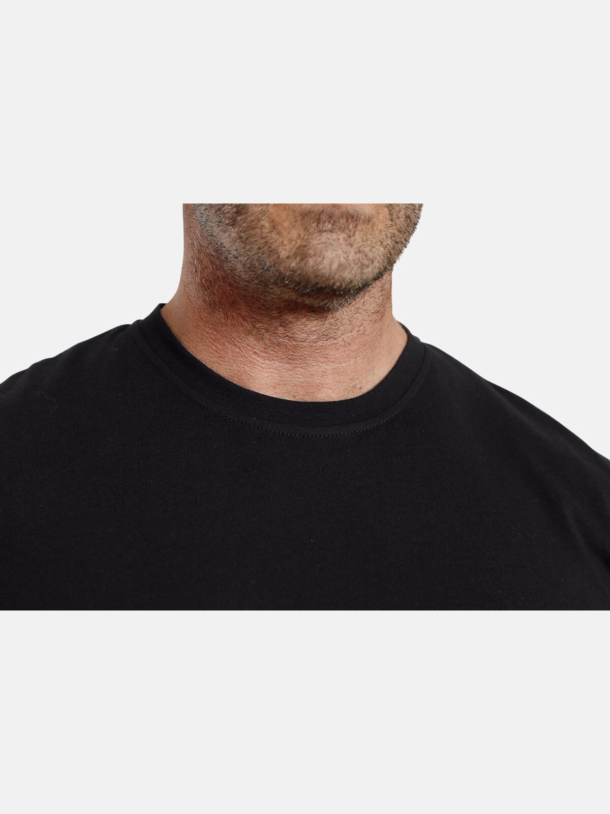 Charles Colby Rundhalsshirt »Doppelpack T-Shirt EARL BOON«, (2 tlg.), leger und schlicht (2er-Pack)