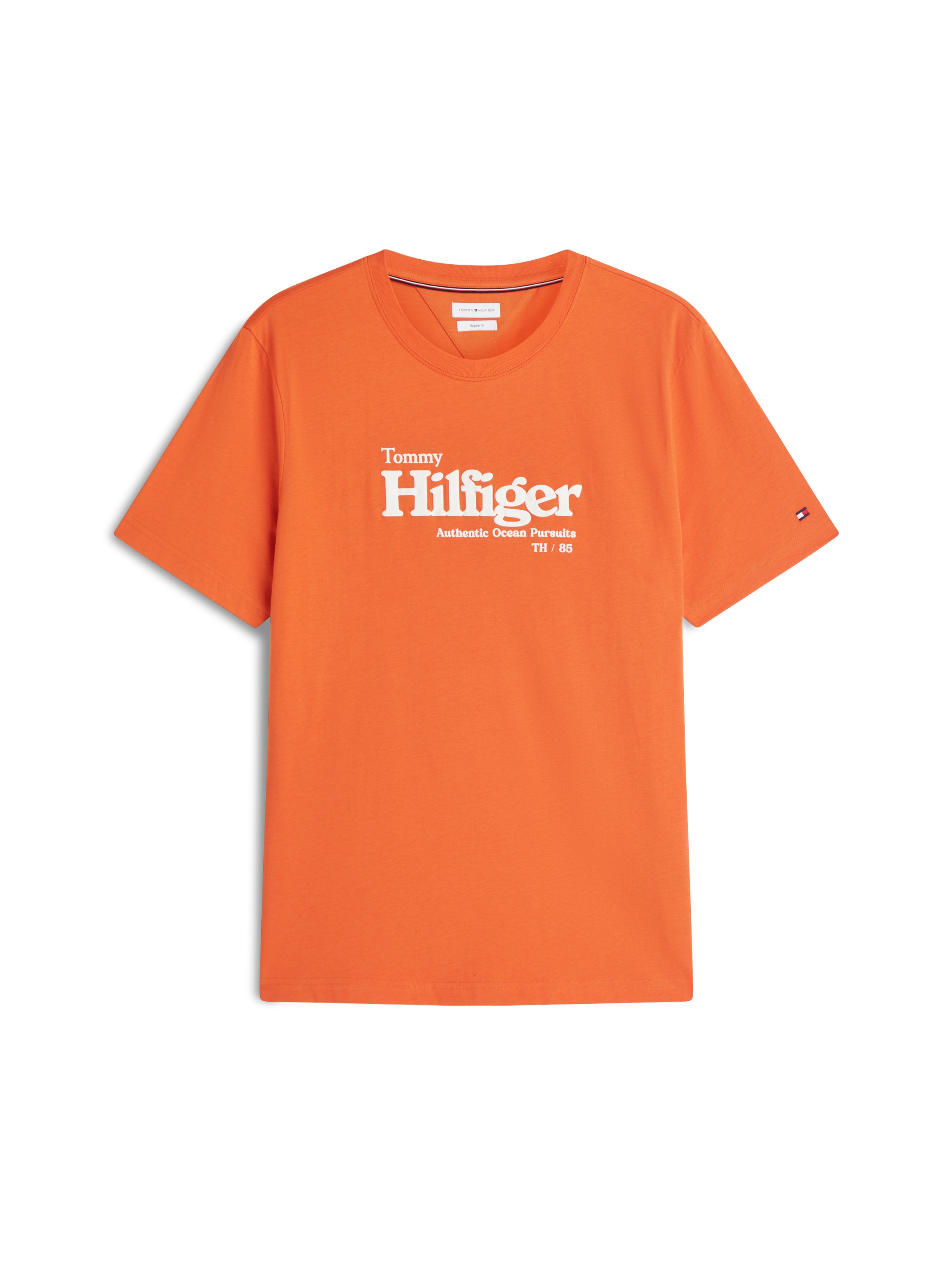 Tommy Hilfiger T-Shirt »NAUTICAL CHEST GRAPHIC REGULAR«