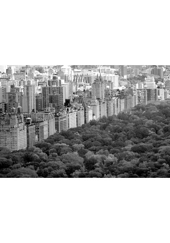 Papermoon Fototapetas »Central Park juoda spalva...