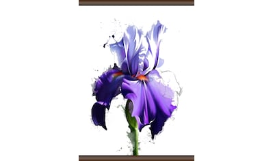 queence Leinwandbild »Lila Blüte«, 50x70 cm kaufen
