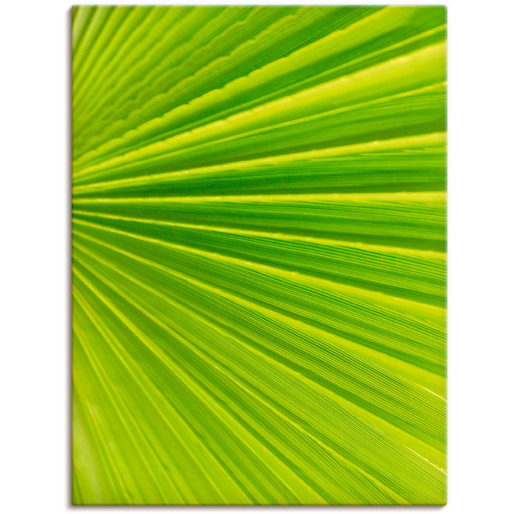 Artland Leinwandbild »Palmenblätter«, Blätter, (1 St.)