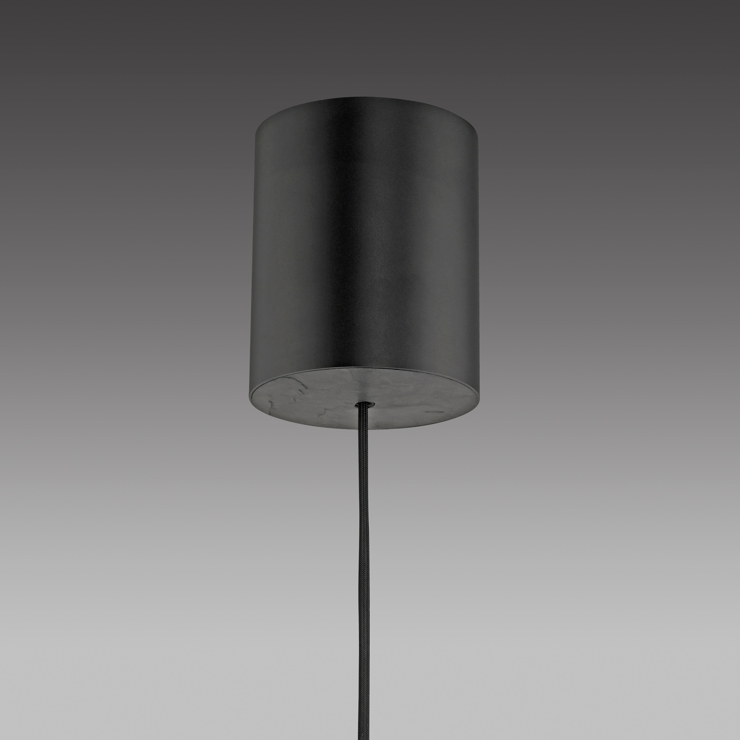 Neuhaus PURE LED Pendelleuchte »PURE E-Vitrum« LED-Board 1 Stk. warmweiß - kaltweiß e-LIFT®-Funktion, CCT, dimmbar über Fernbedíenung