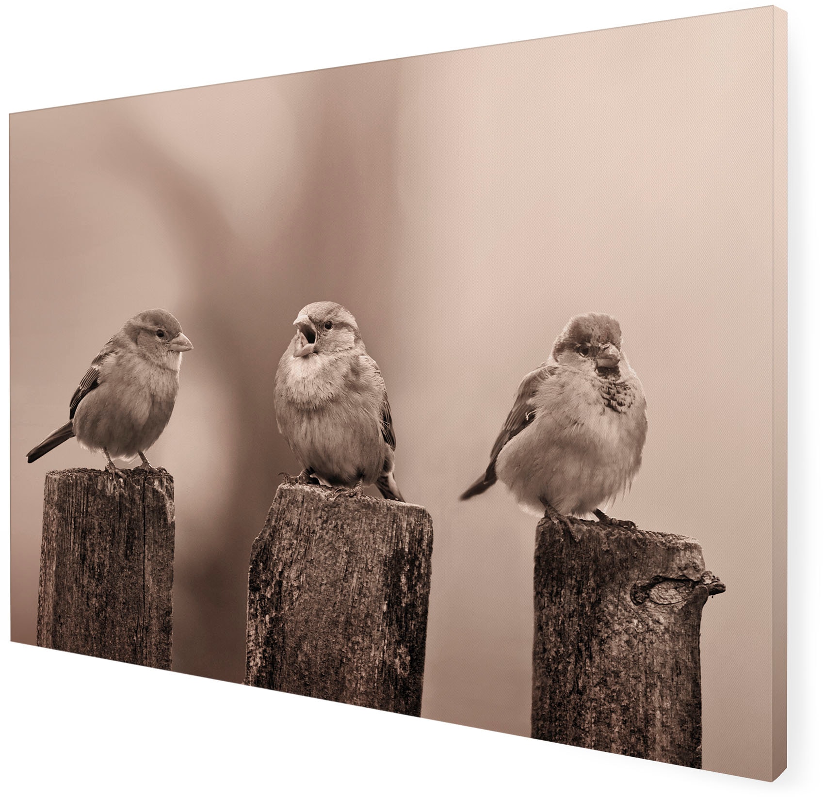 Art for the home Leinwandbild »Outdoor Vogel 50x70cm«, Landschaften, (1 St.)