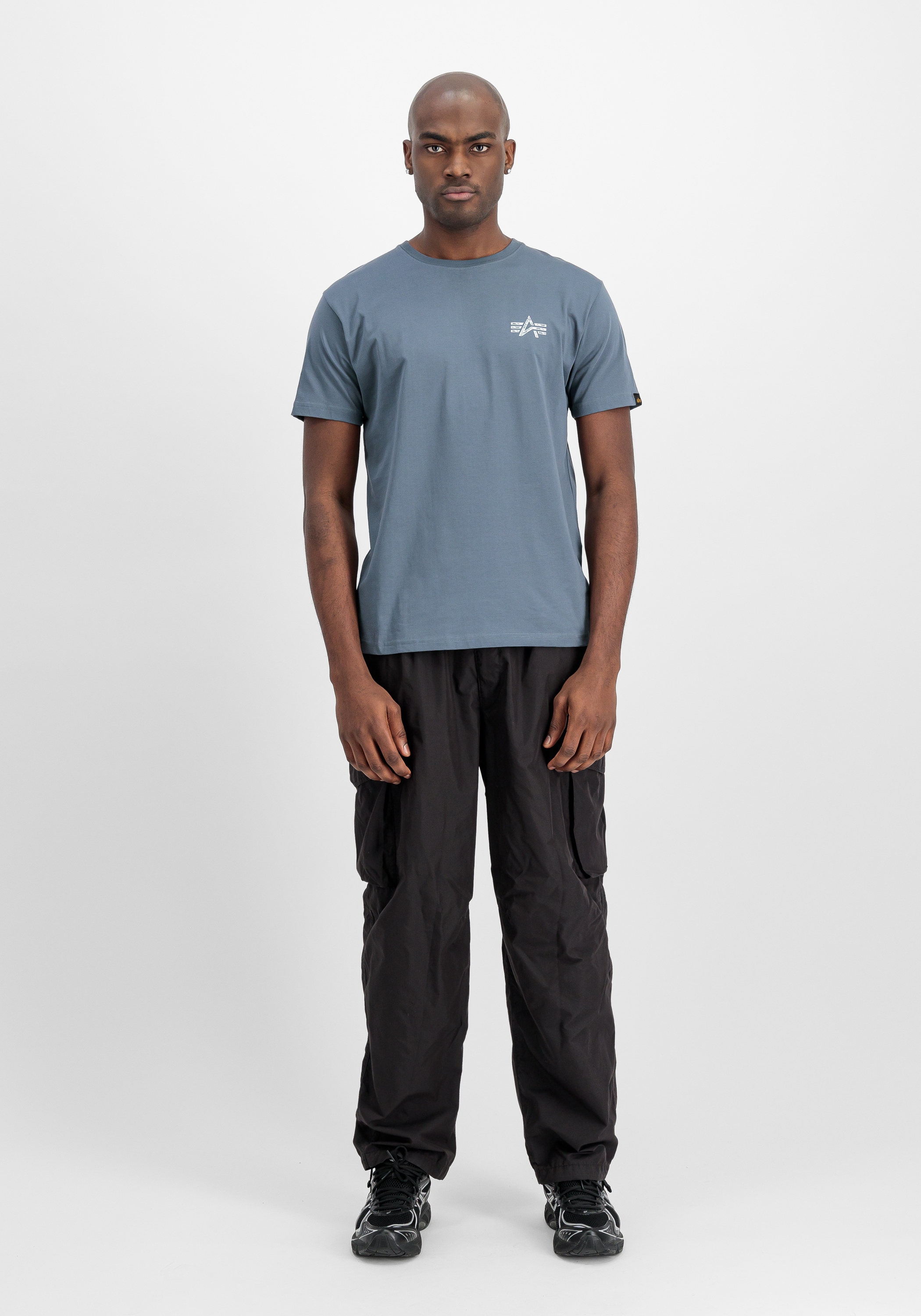 Alpha Industries T-Shirt »Signature Backprint T-Shirt«