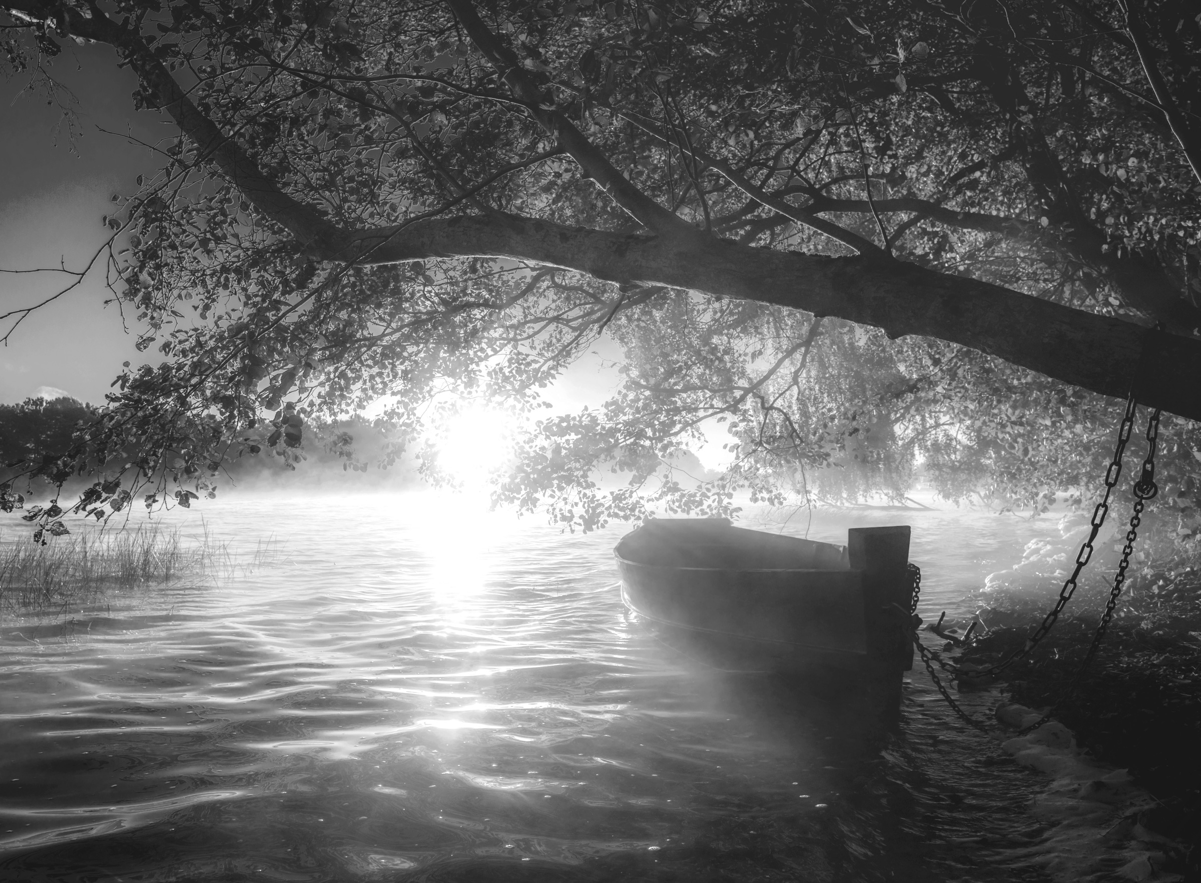 Papermoon "Boot im Wasser Schwarz & Weiß"