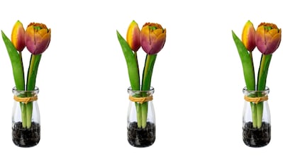 Kunsttulpe »Tulpen in Vase«
