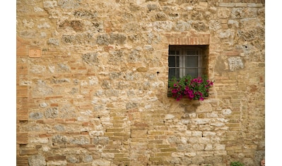 Fototapete »STEIN-WAND-FENSTER TOSKANA ITALIEN BLUME MAUER ALTSTADT«