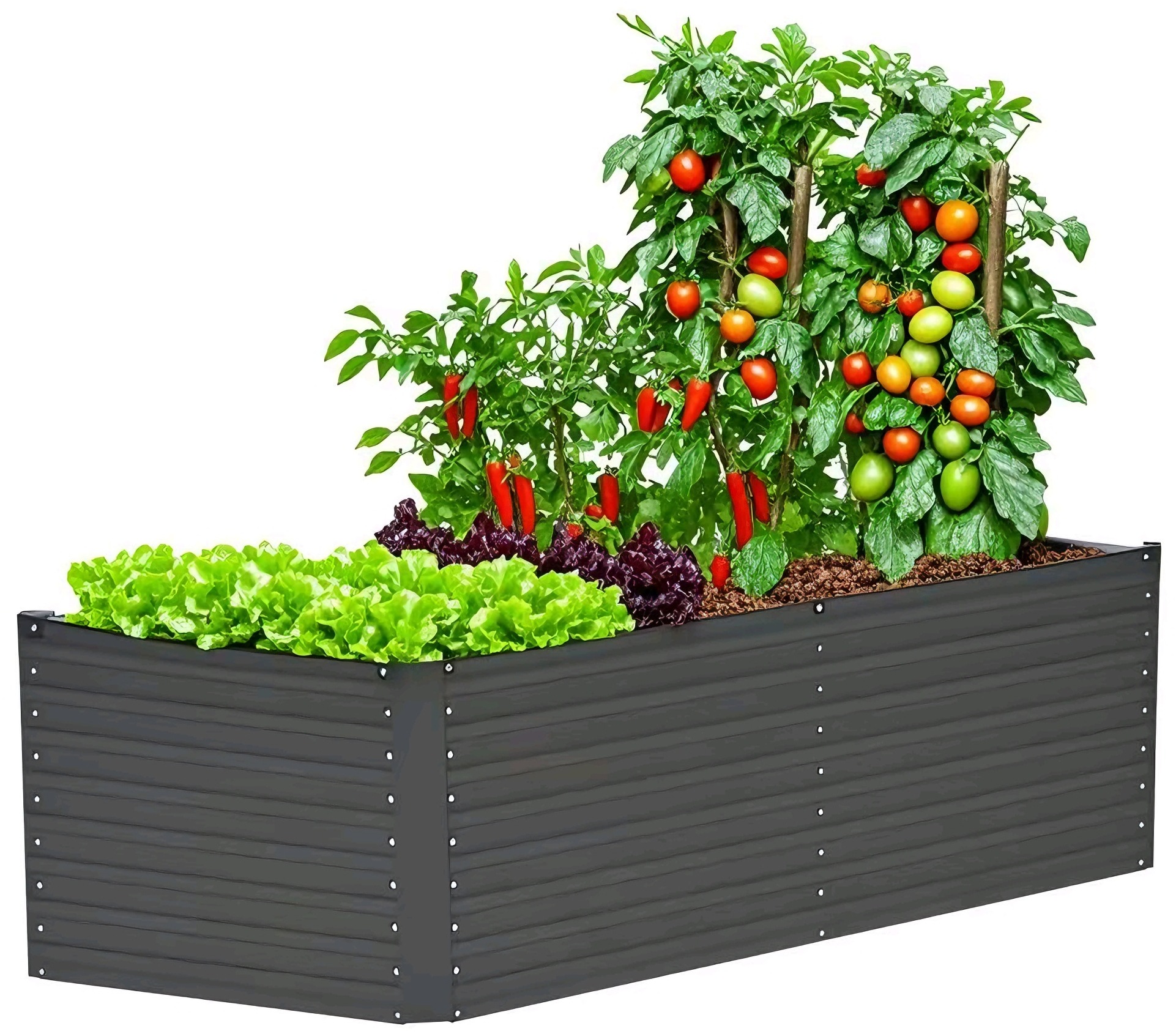 KONIFERA Hochbeet "Emmy, bodenloses Gartenbeet aus verzinktem Stahl", mit V günstig online kaufen