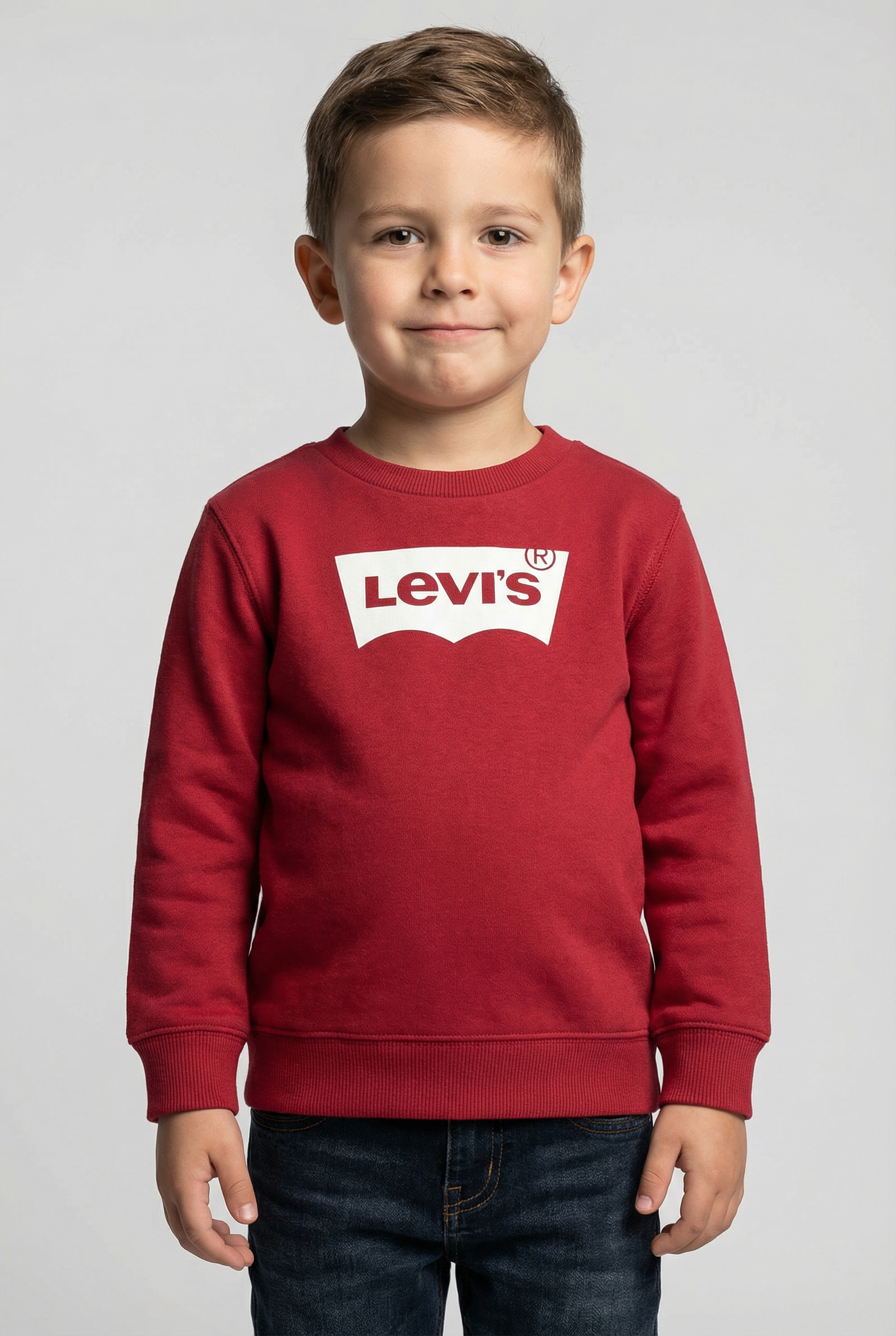 Levis Kids Sweatshirt "LVB LVB FRENCH TERRY BATWING", BABY UNISEX