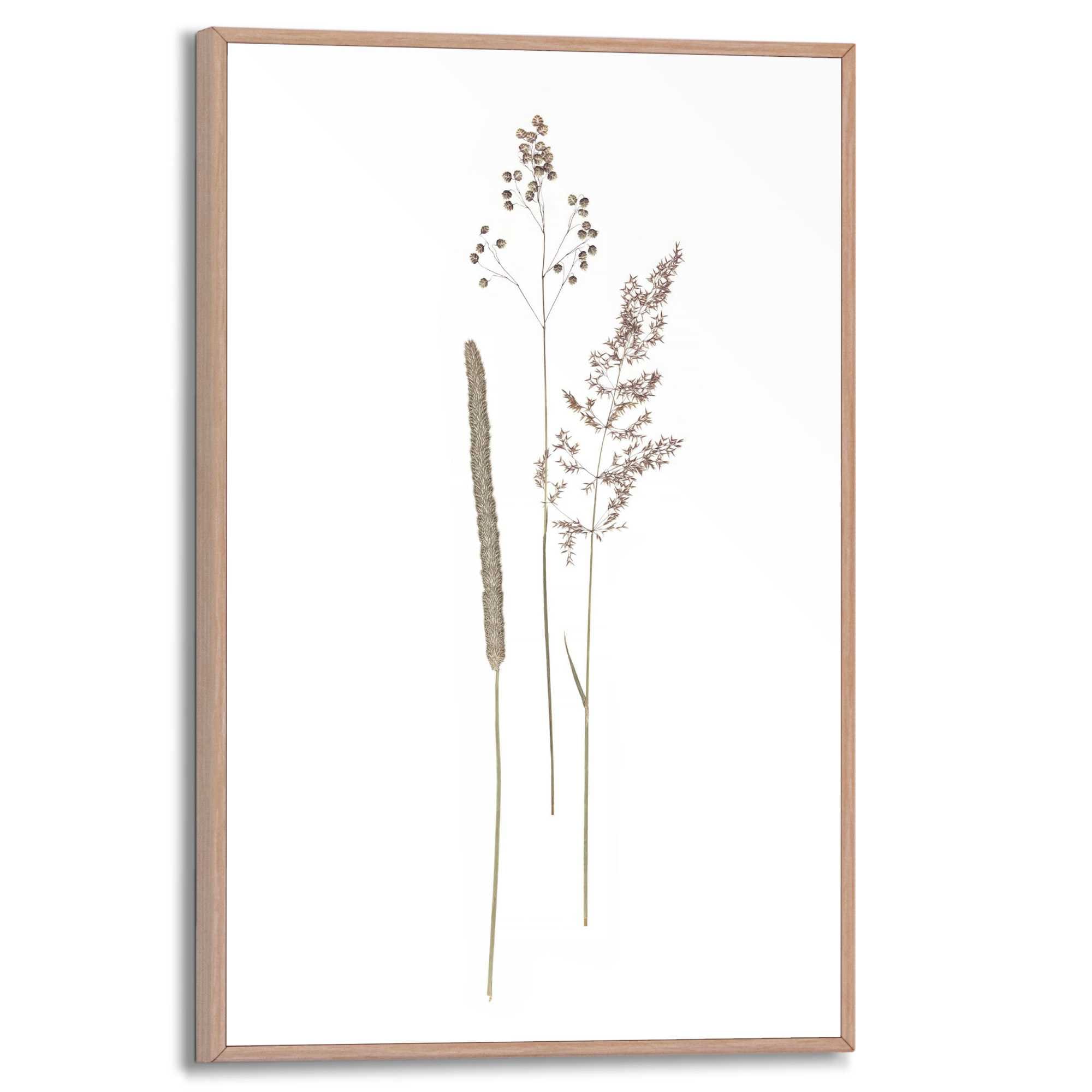 Reinders! Bild mit Rahmen »Dried Flowers«