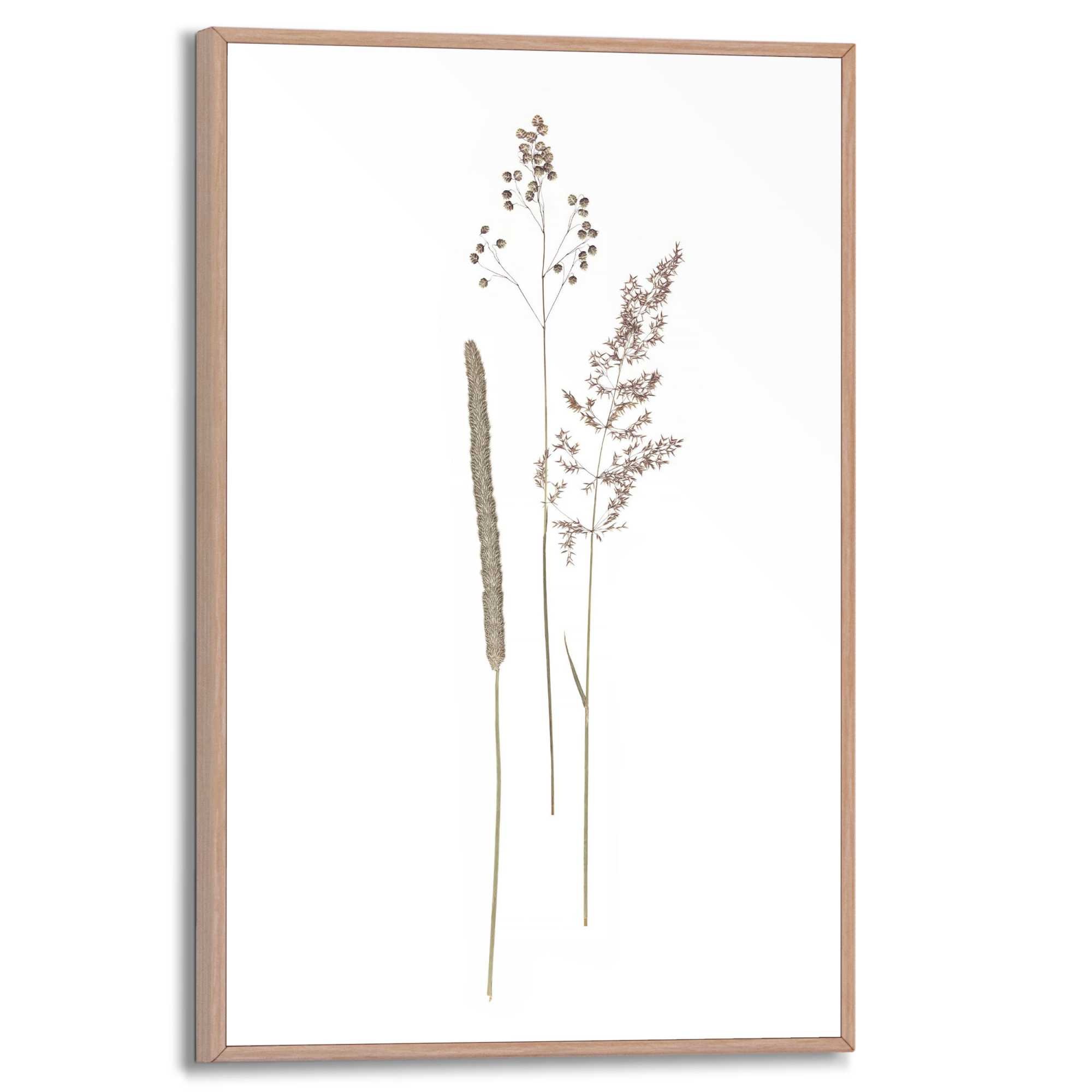 Reinders Bild mit Rahmen "Dried Flowers" günstig online kaufen