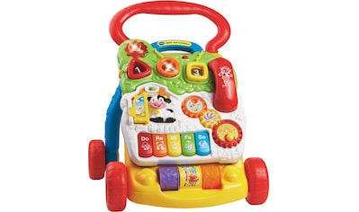 Lauflernwagen »VTechBaby, Spiel-und Laufwagen - Special Edition«