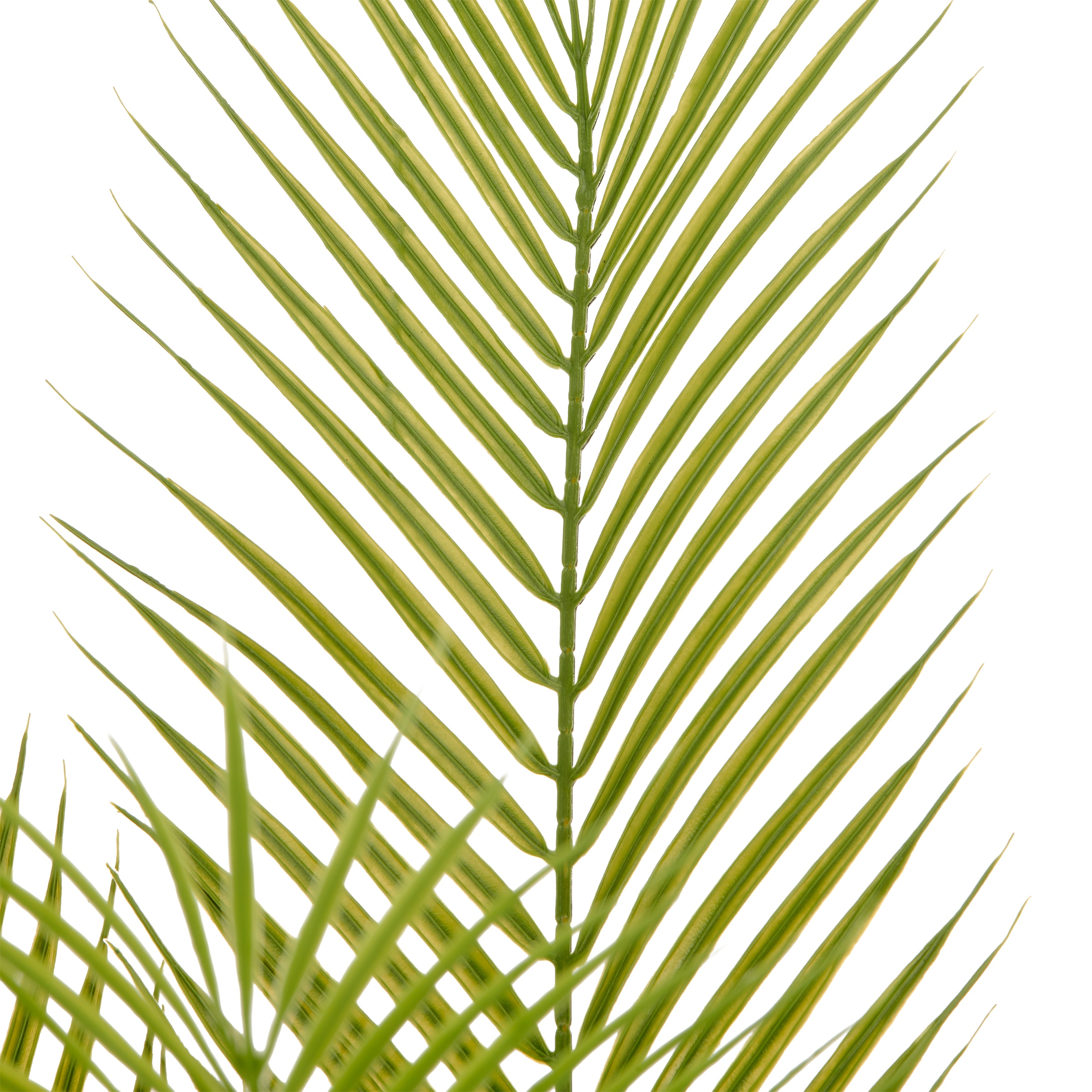 Creativ green Kunstpalme »Arecapalme« mit naturgetreuen Palmwedeln