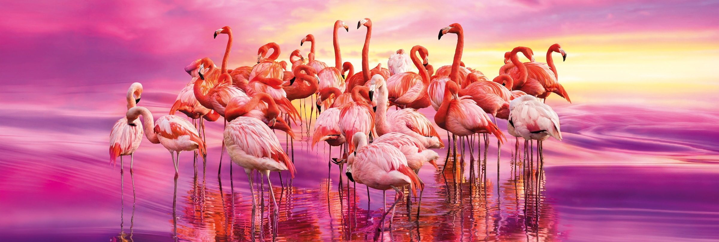 »Panorama der Flamingos«, | Puzzle Made in Tanz Quality Europe Clementoni® Collection, High BAUR