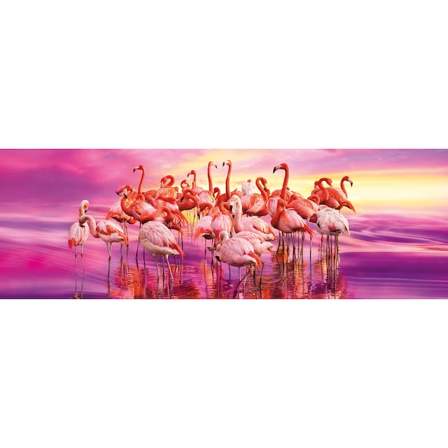 Clementoni® Puzzle »Panorama High Quality Collection, Tanz der Flamingos«,  Made in Europe | BAUR