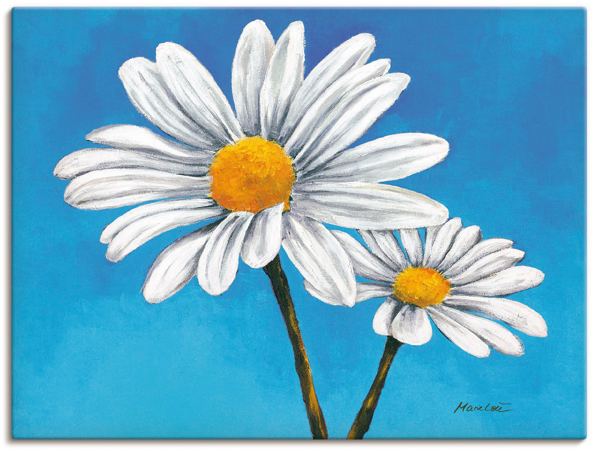 Alubild, | Artland »Margeriten BAUR Größen bestellen (1 versch. Wandaufkleber oder Blumen, als Blau«, Leinwandbild, St.), in Wandbild auf Poster