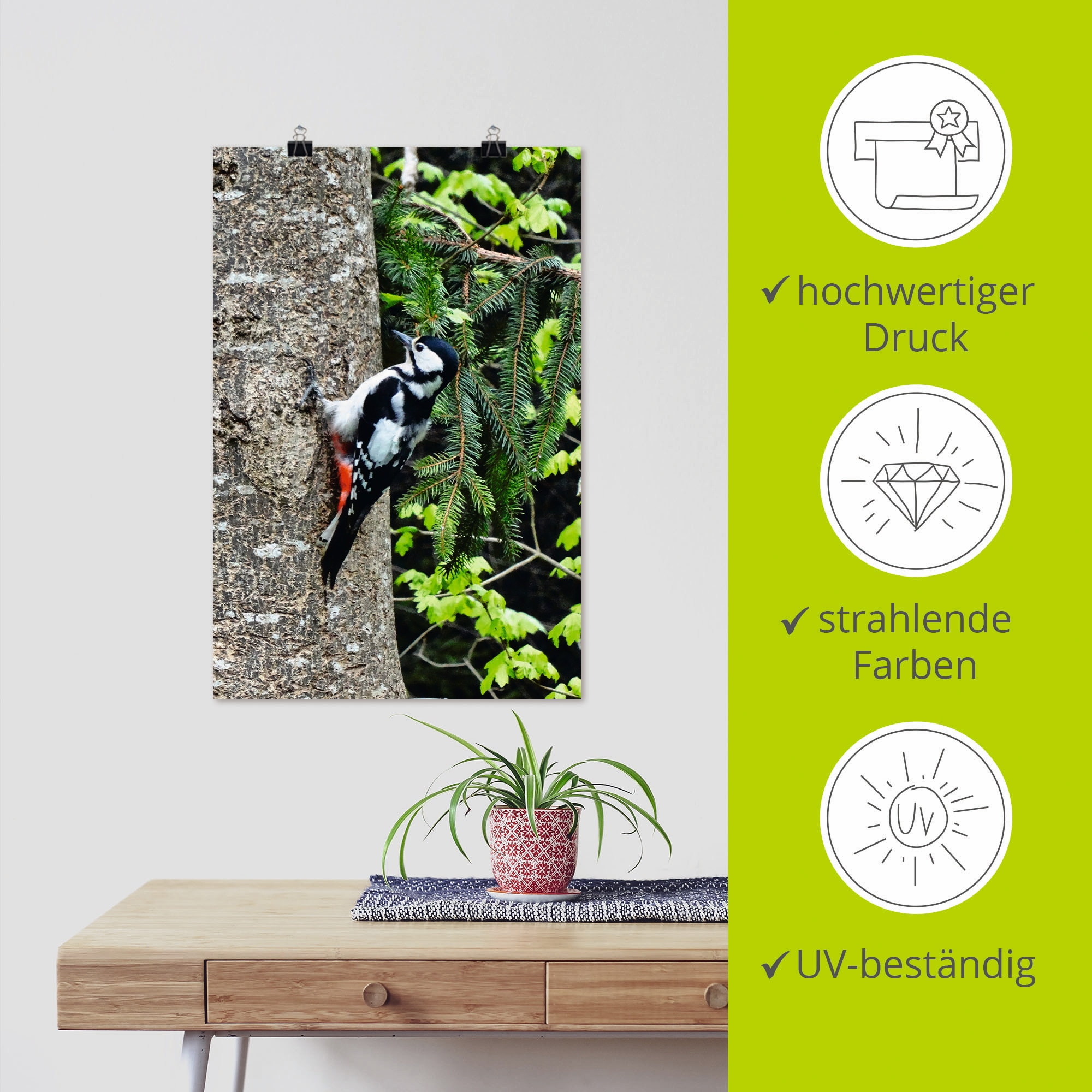 Artland »Buntspecht im Wald« Vögel 1 Stk. tlg. ohne Rahmen