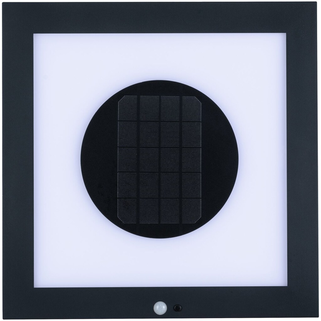 Paulmann LED Außen-Wandleuchte »Outdoor Solar Panel Taija mit Bewegungsmelder 400x400mm Anthrazit 3.000K«, 1 St., Warmweiß