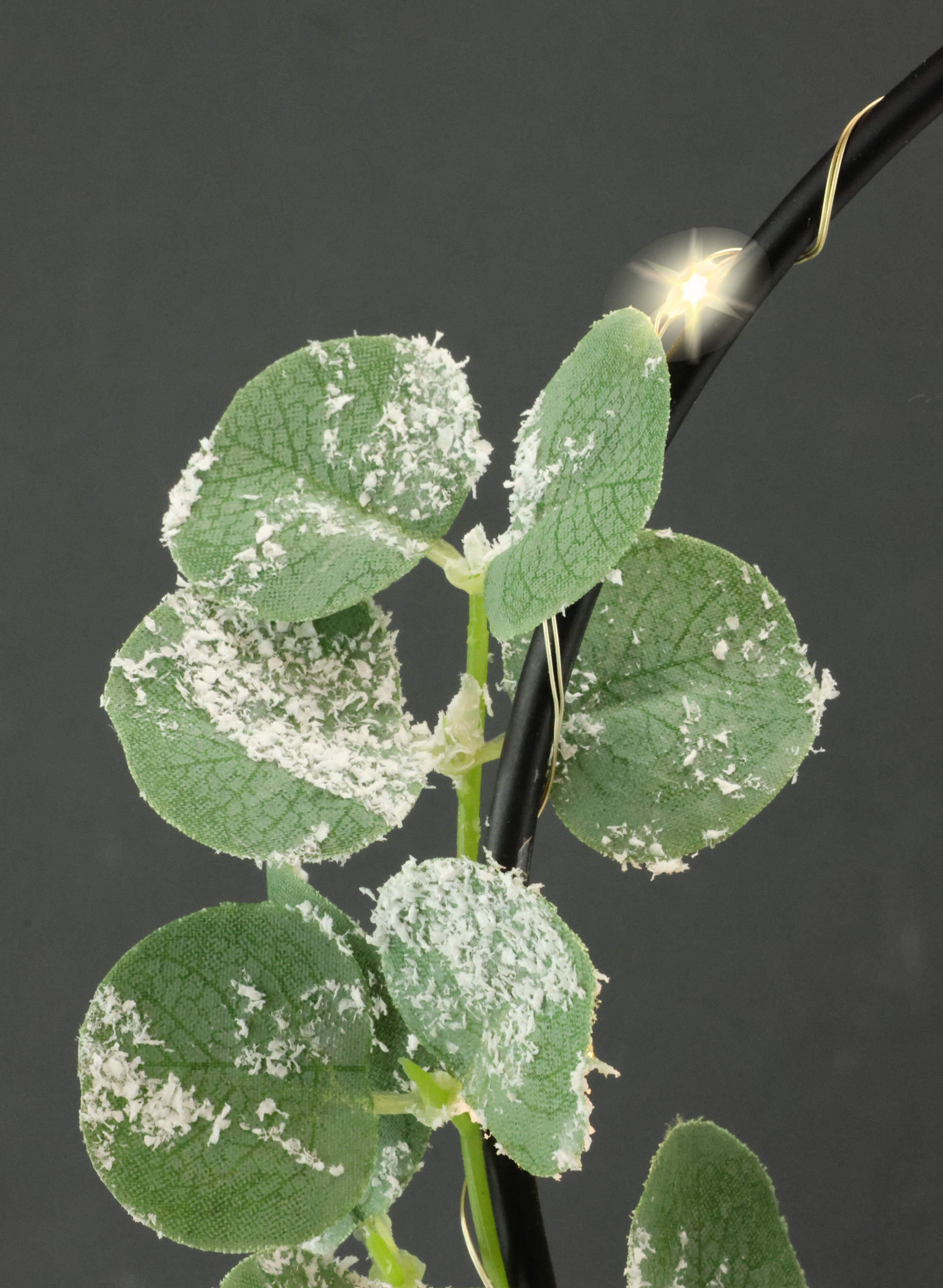 I.GE.A. Kunstkranz »LED-Kranz Eukalyptus aus Metall«, Mit Lichterkette Eukalyptus Haus Schleife